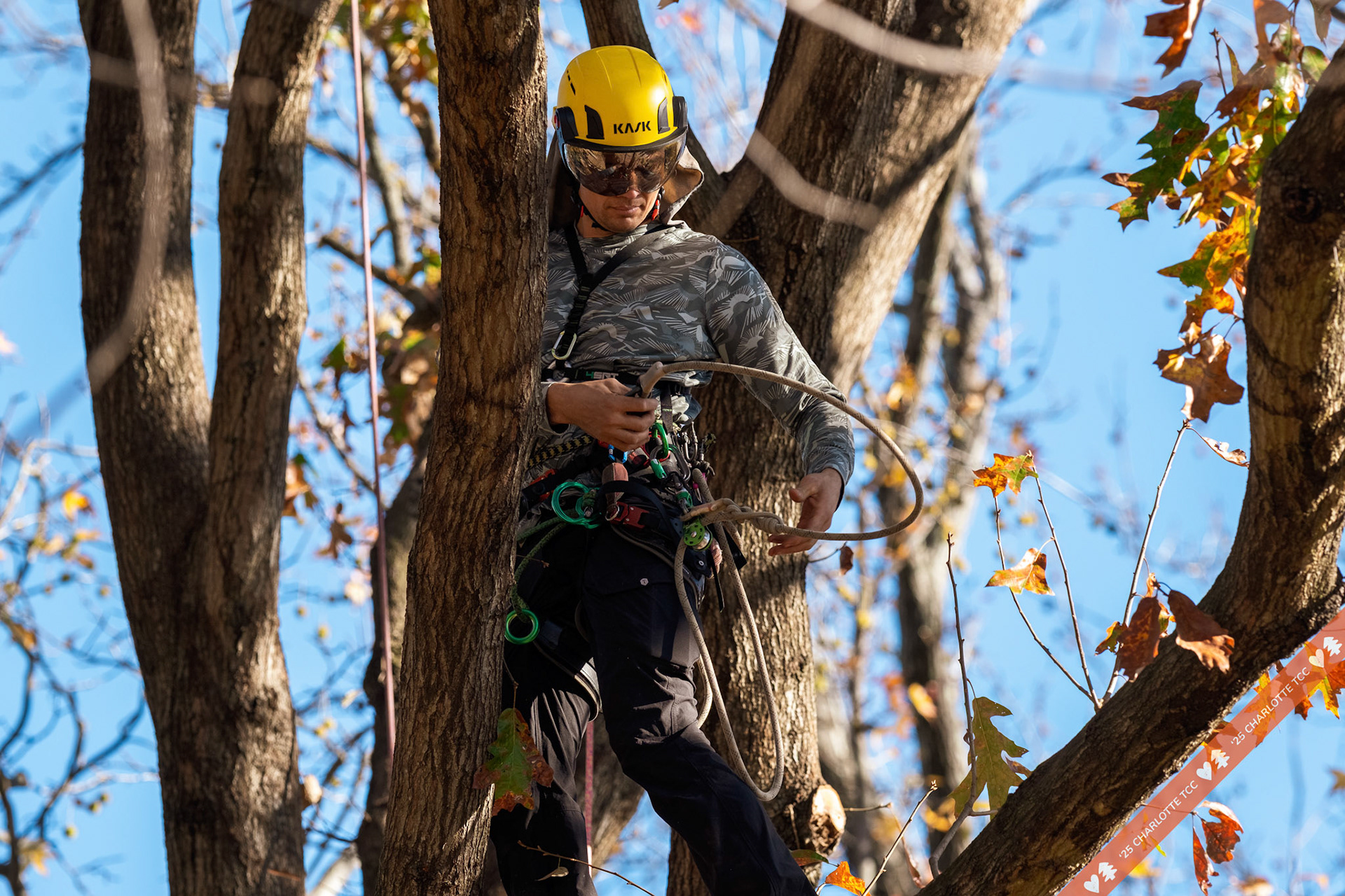 2025 Charlotte Tree Climbing Competition - TreeStuff.com/photos