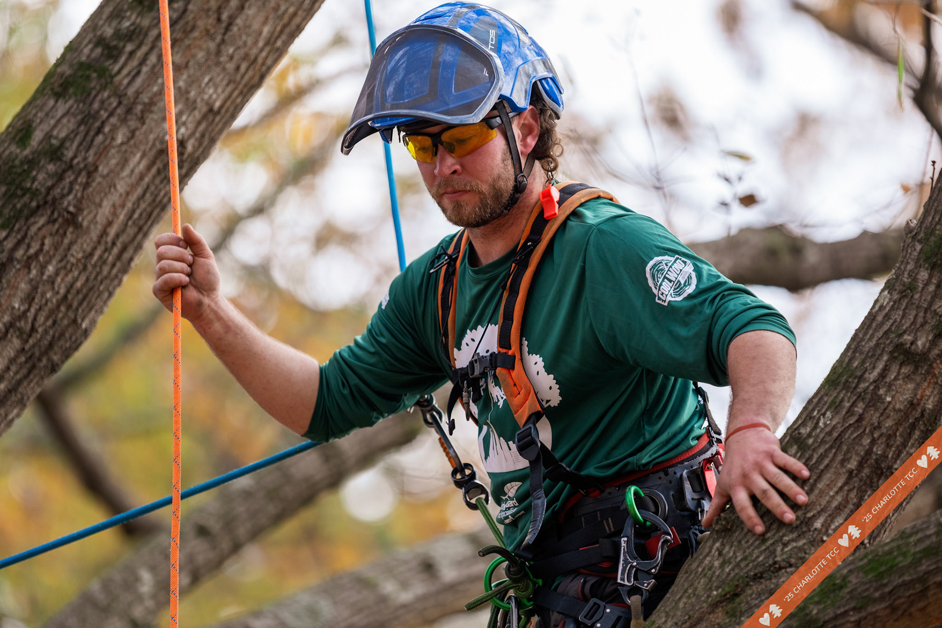 2025 Charlotte Tree Climbing Competition - TreeStuff.com/photos