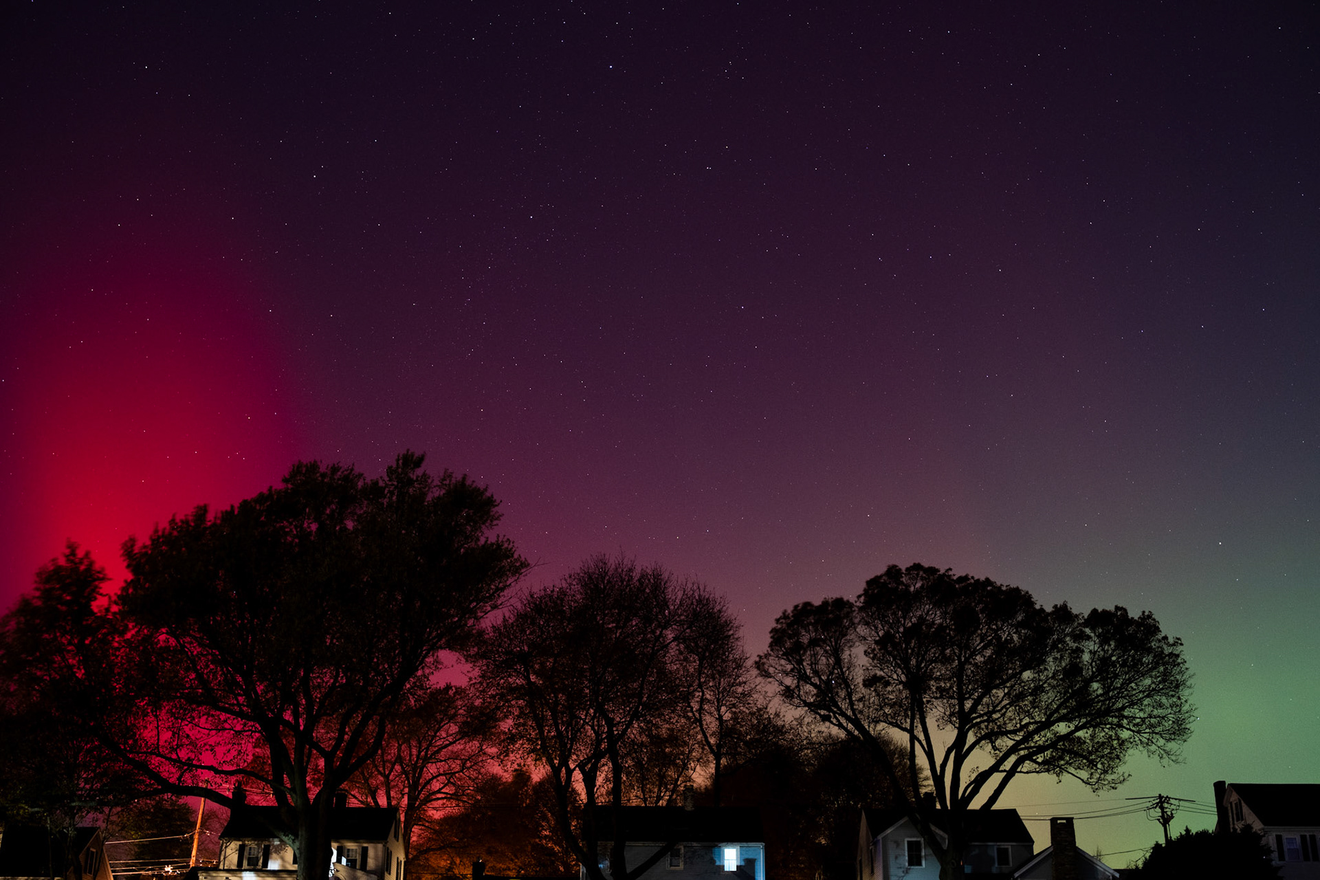 TreeStuff.com Photos taken at TCI Expo 2025