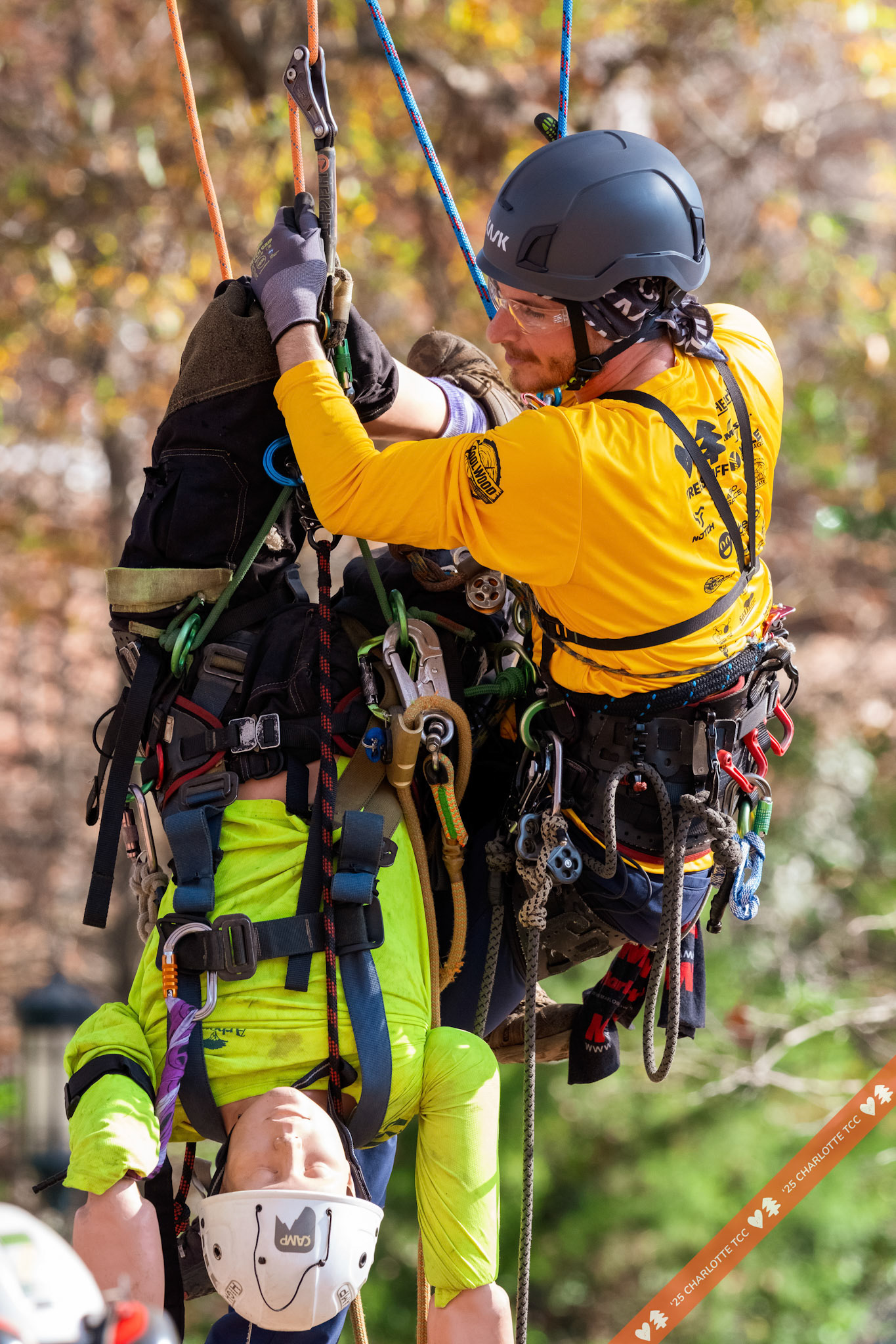 2025 Charlotte Tree Climbing Competition - TreeStuff.com/photos