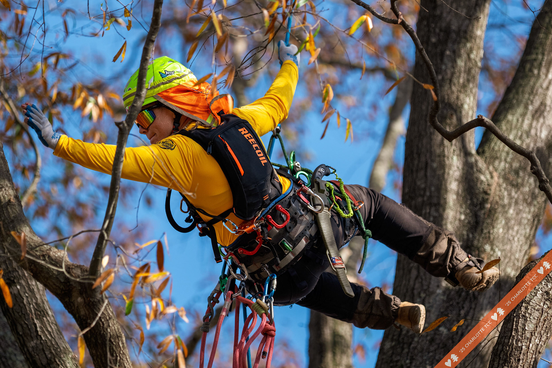 2025 Charlotte Tree Climbing Competition - TreeStuff.com/photos