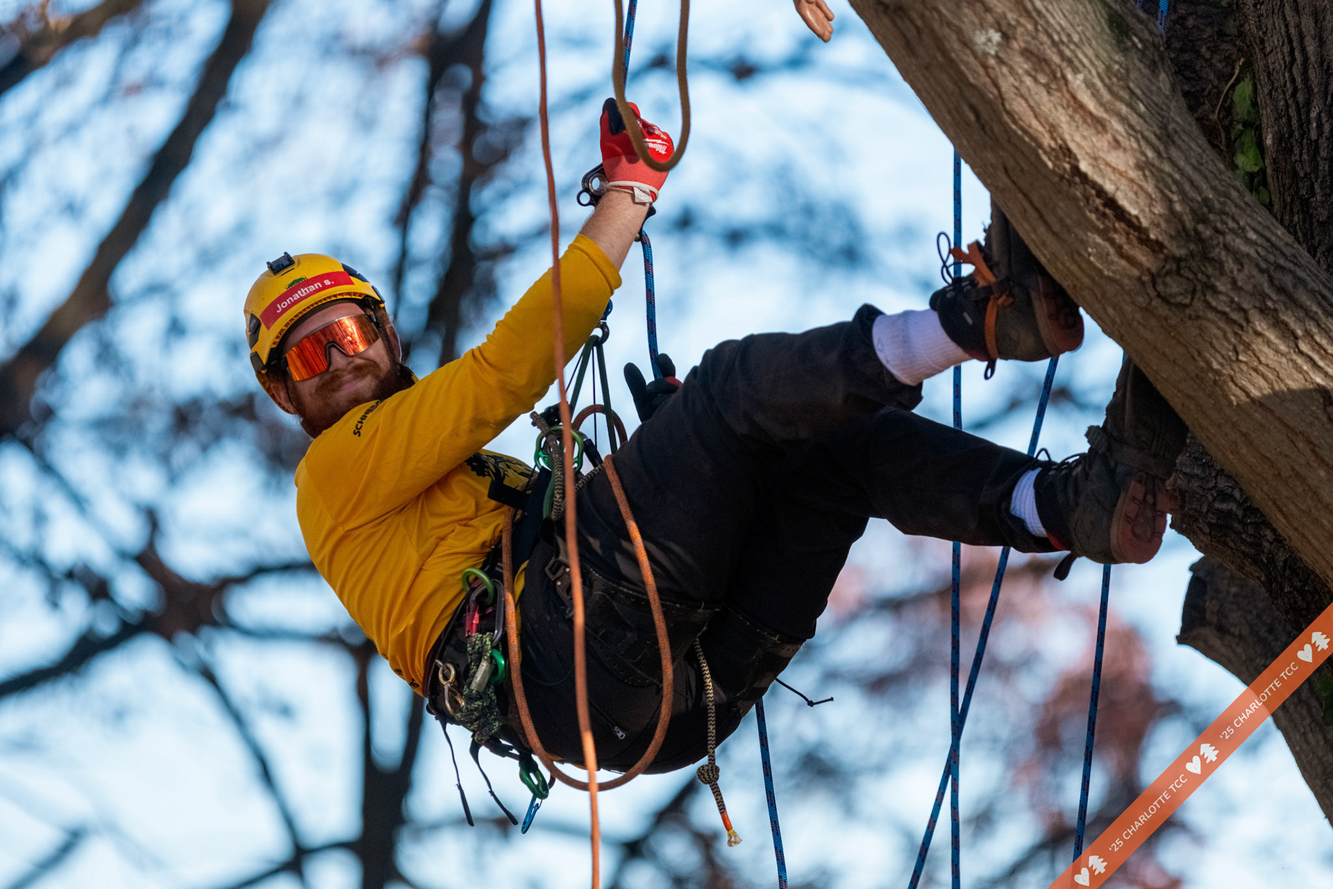 2025 Charlotte Tree Climbing Competition - TreeStuff.com/photos