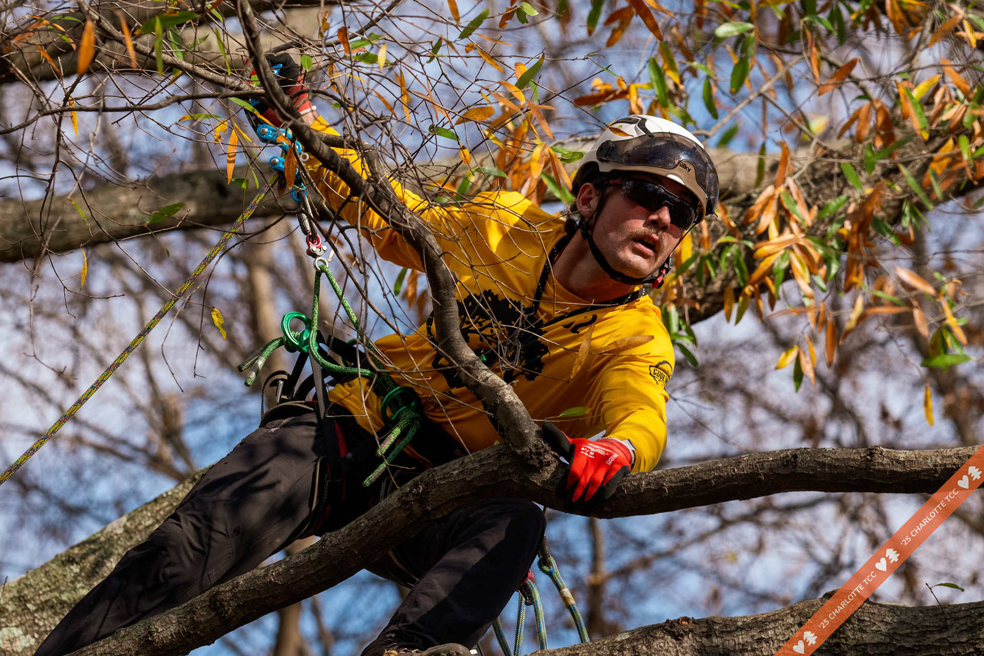 2025 Charlotte Tree Climbing Competition - TreeStuff.com/photos