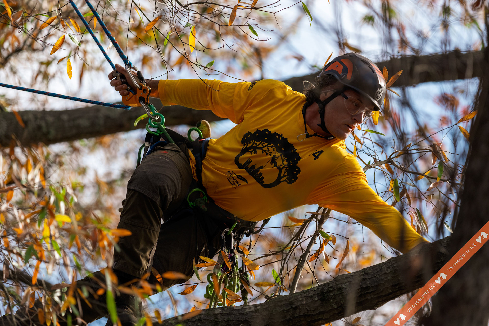 2025 Charlotte Tree Climbing Competition - TreeStuff.com/photos