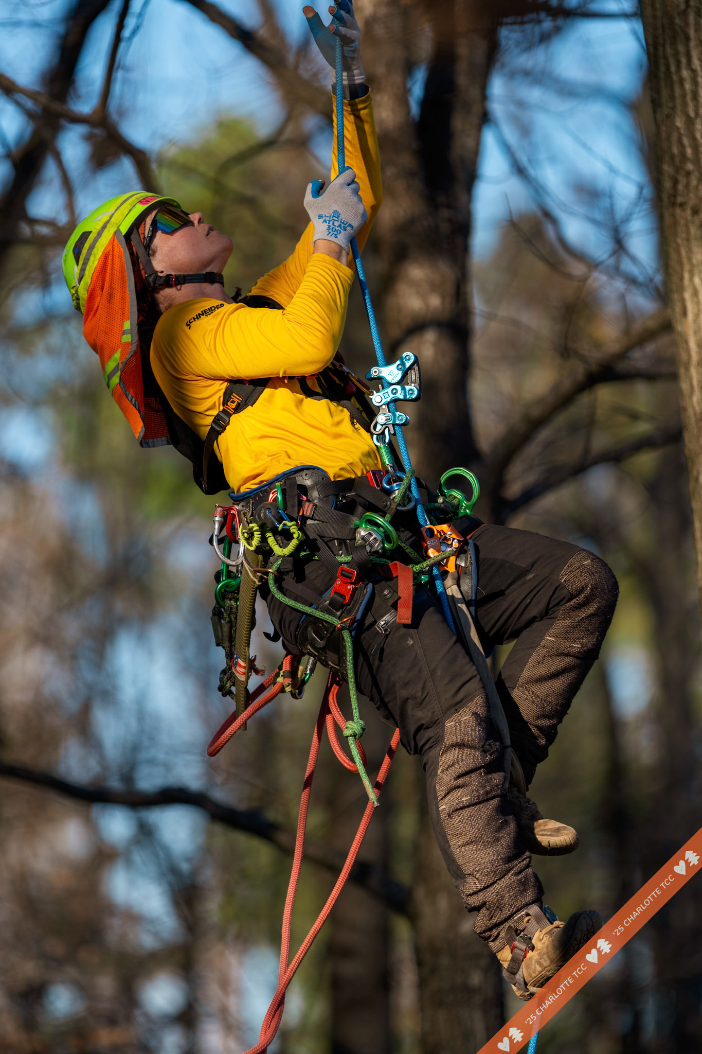 2025 Charlotte Tree Climbing Competition - TreeStuff.com/photos