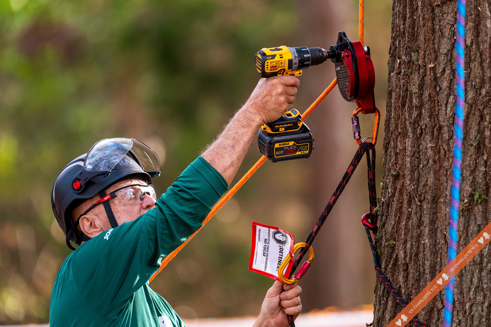 2025 Charlotte Tree Climbing Competition - TreeStuff.com/photos