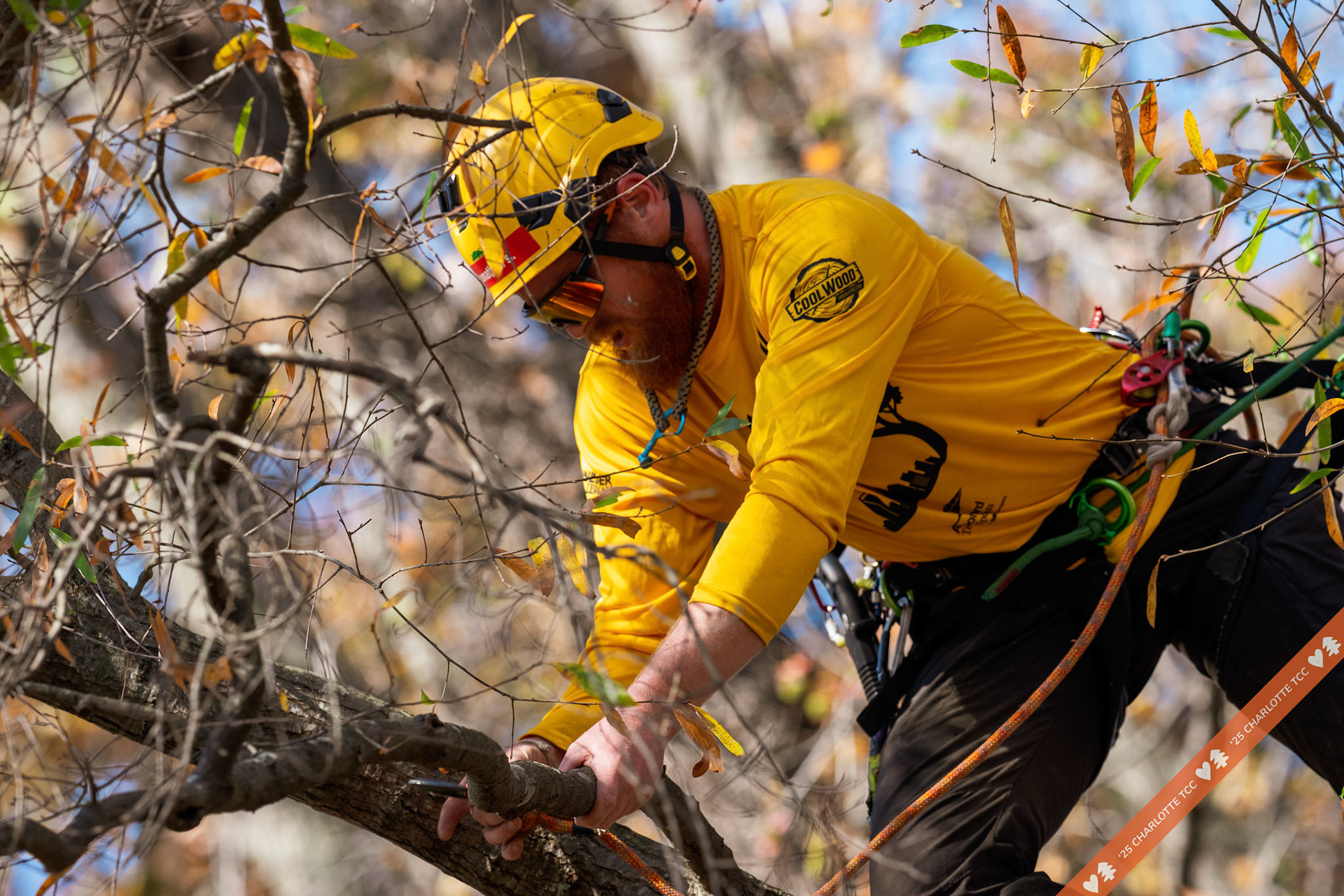 2025 Charlotte Tree Climbing Competition - TreeStuff.com/photos