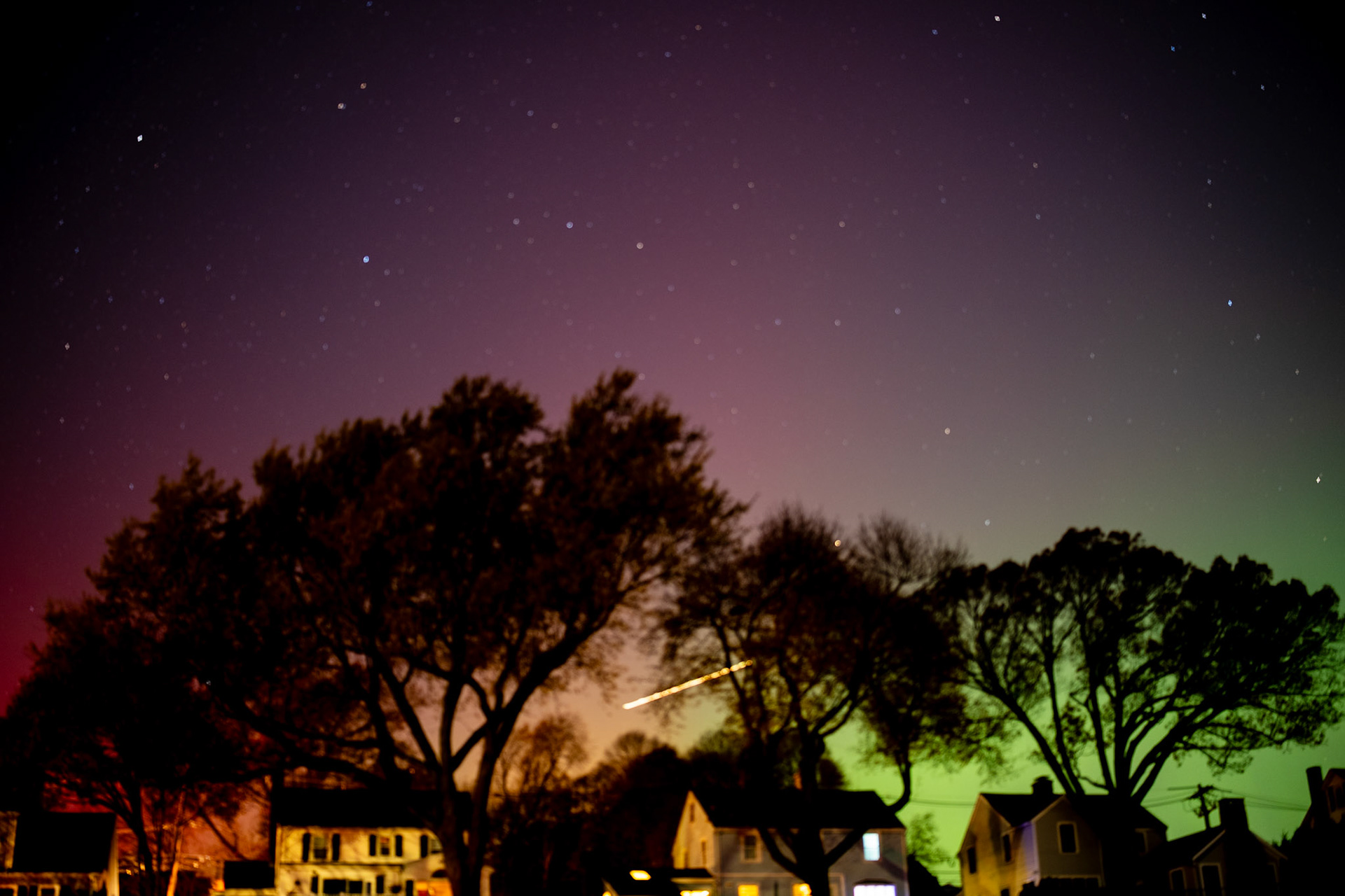 TreeStuff.com Photos taken at TCI Expo 2025