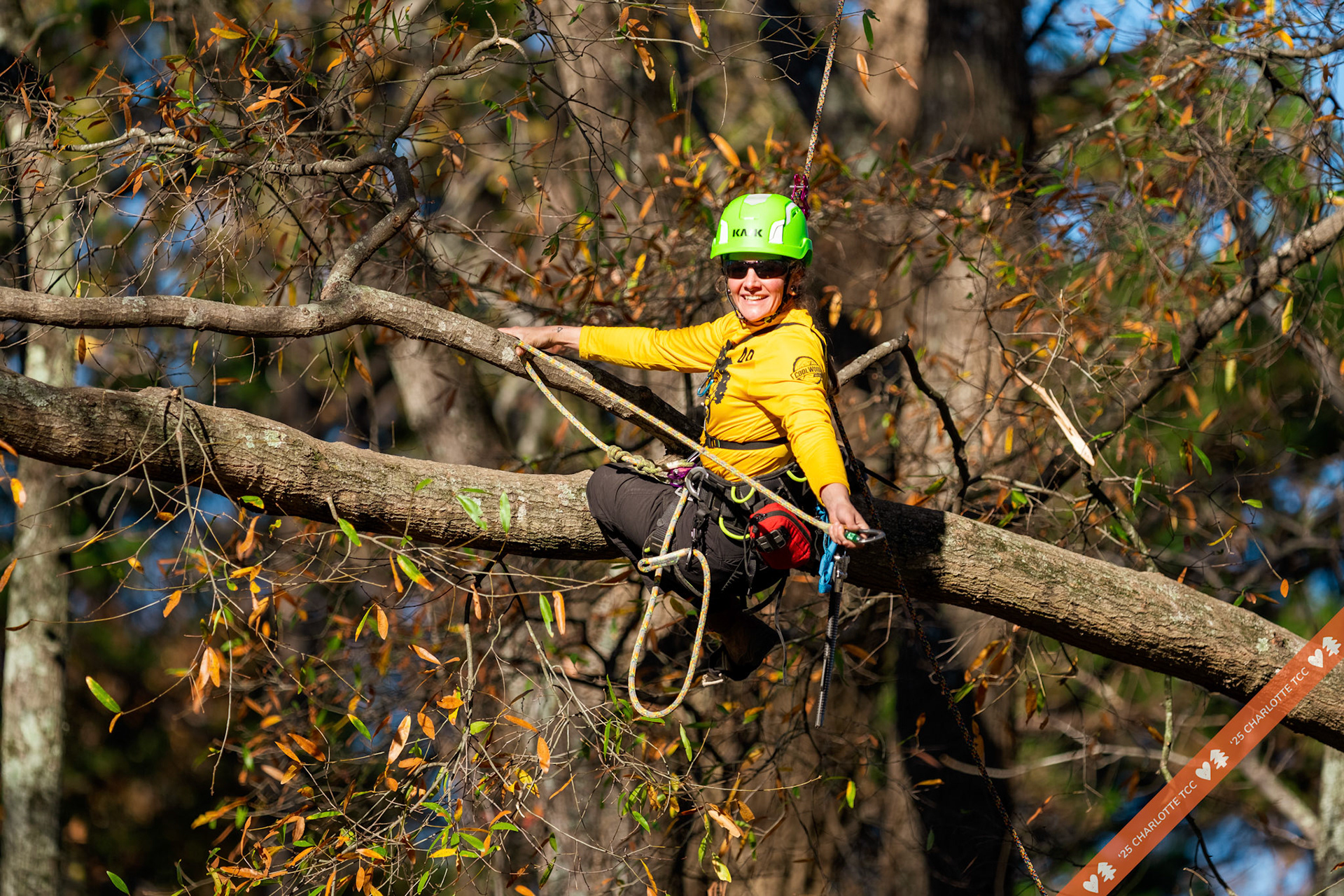 2025 Charlotte Tree Climbing Competition - TreeStuff.com/photos