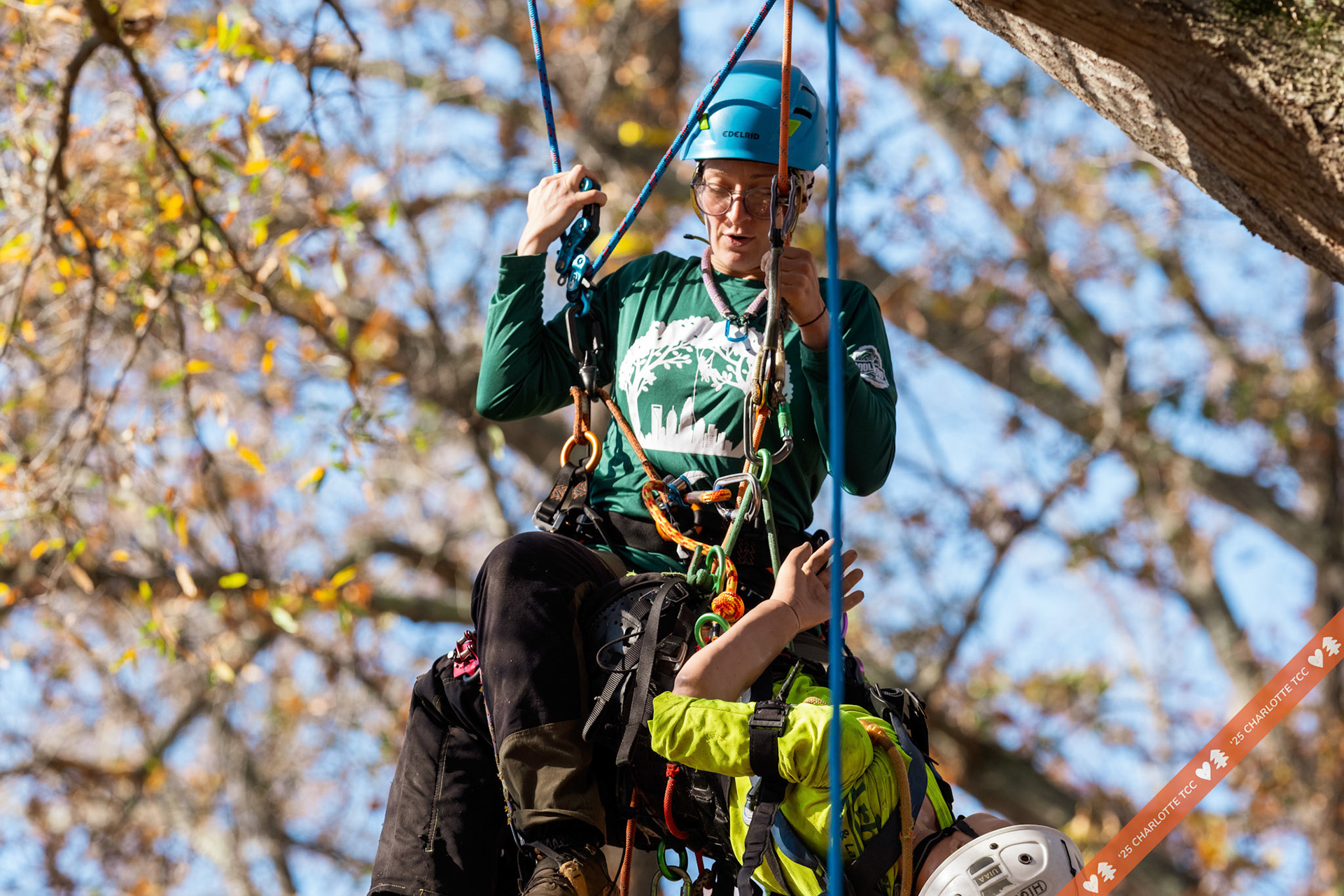 2025 Charlotte Tree Climbing Competition - TreeStuff.com/photos