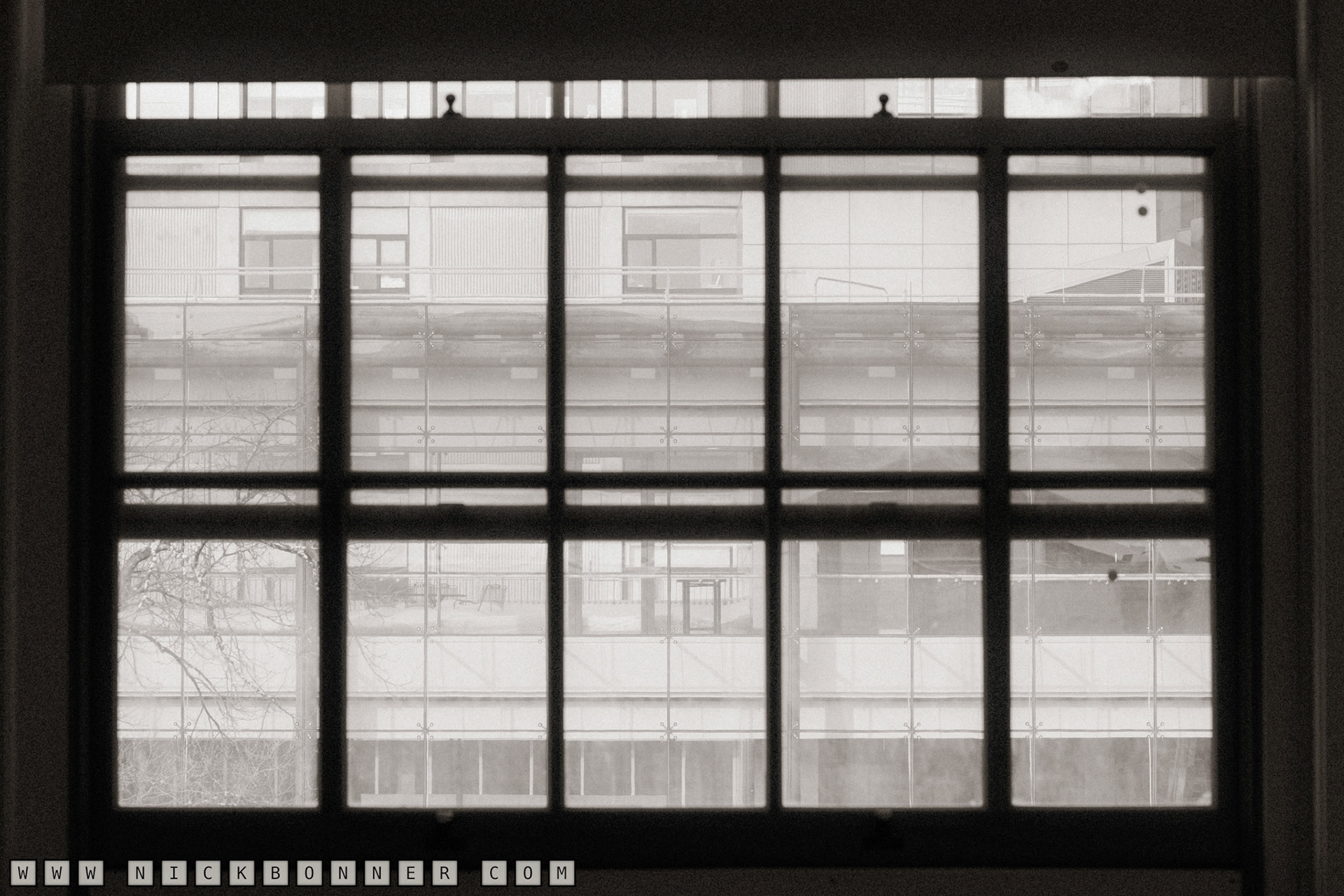 2026 Mass Go Championship