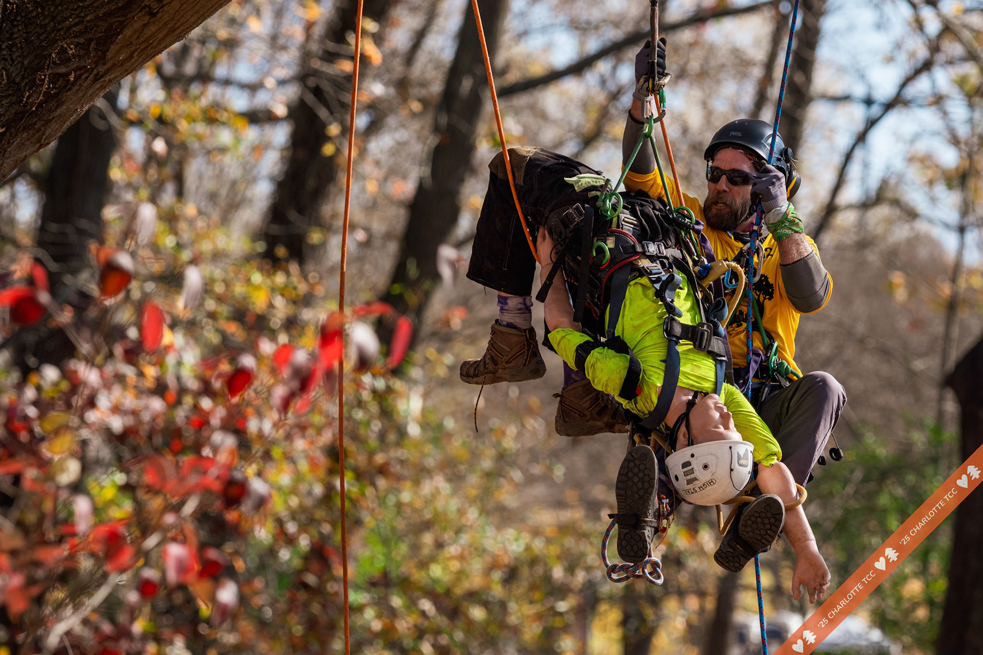 2025 Charlotte Tree Climbing Competition - TreeStuff.com/photos