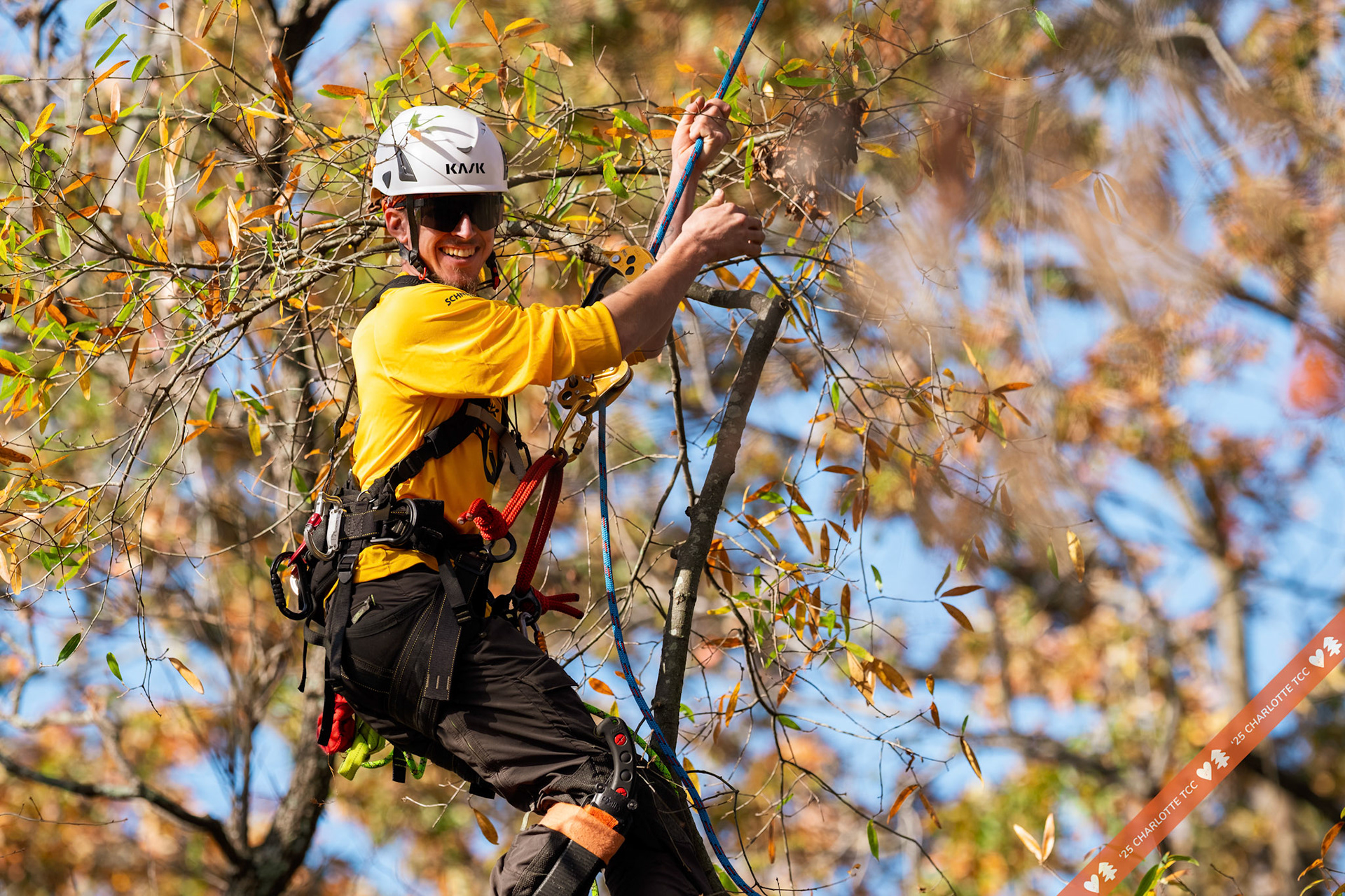 2025 Charlotte Tree Climbing Competition - TreeStuff.com/photos