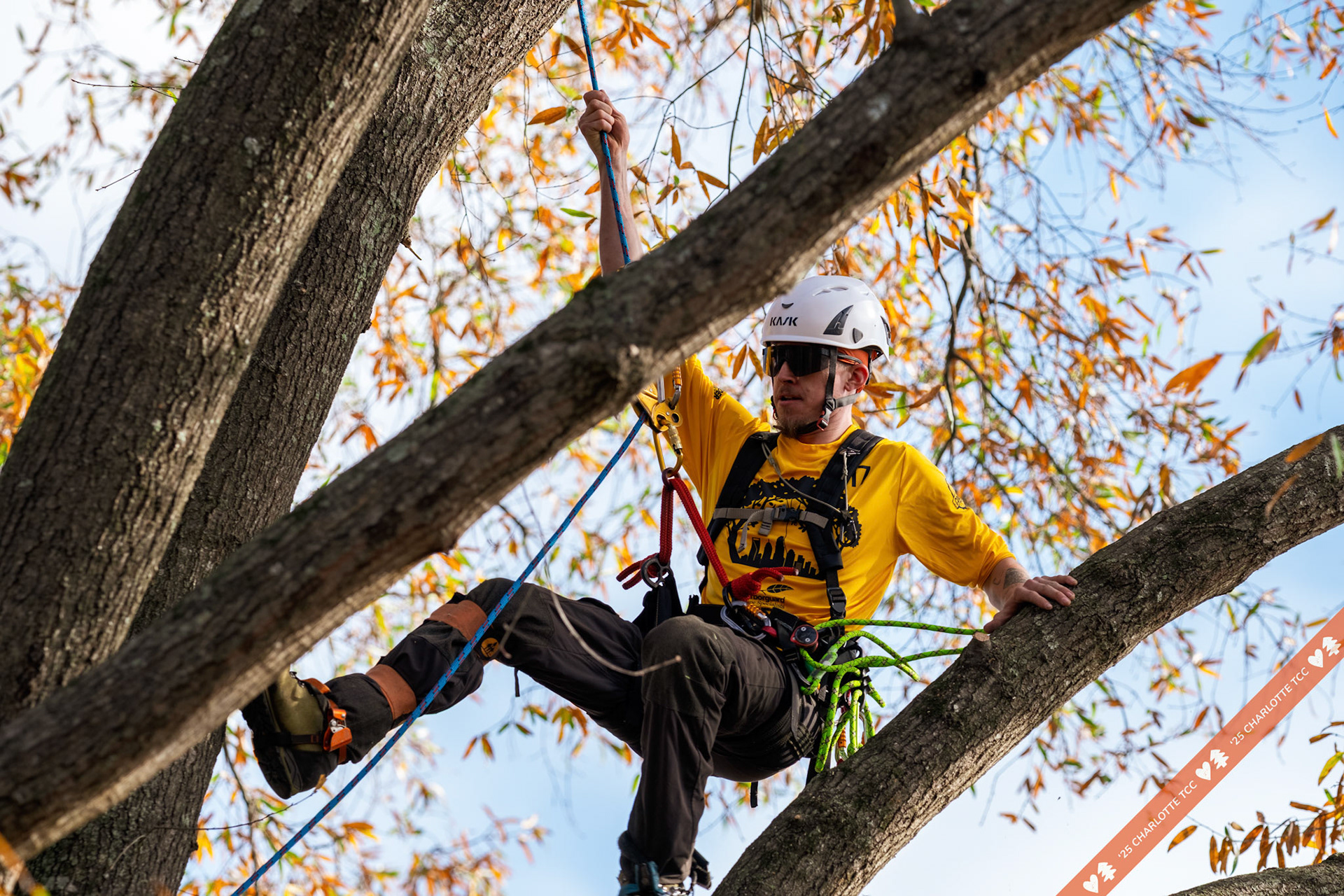2025 Charlotte Tree Climbing Competition - TreeStuff.com/photos