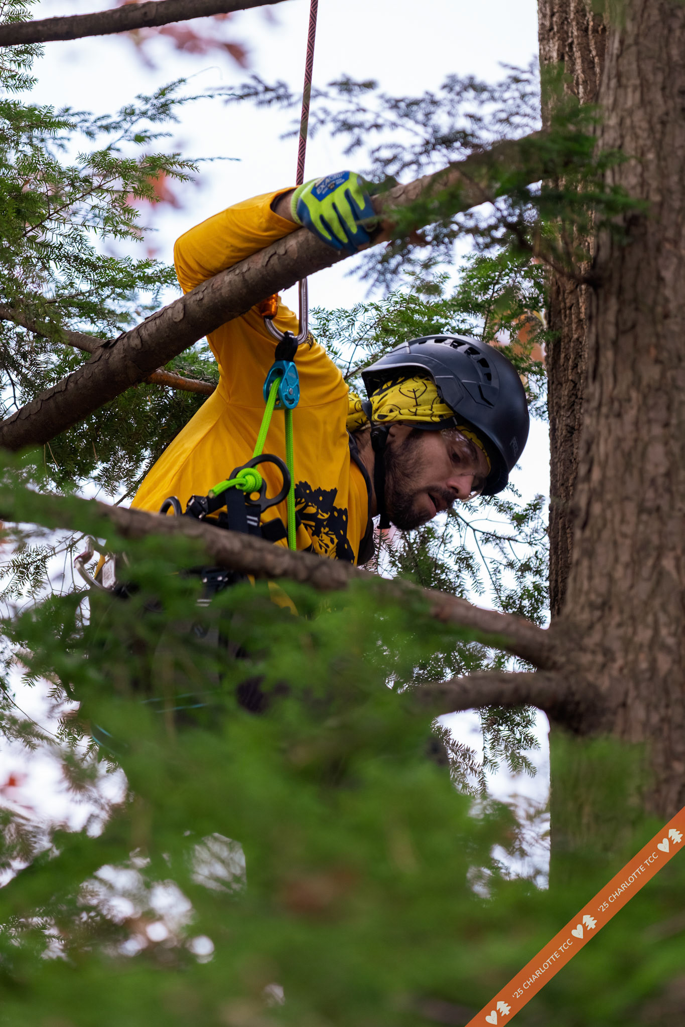 2025 Charlotte Tree Climbing Competition - TreeStuff.com/photos