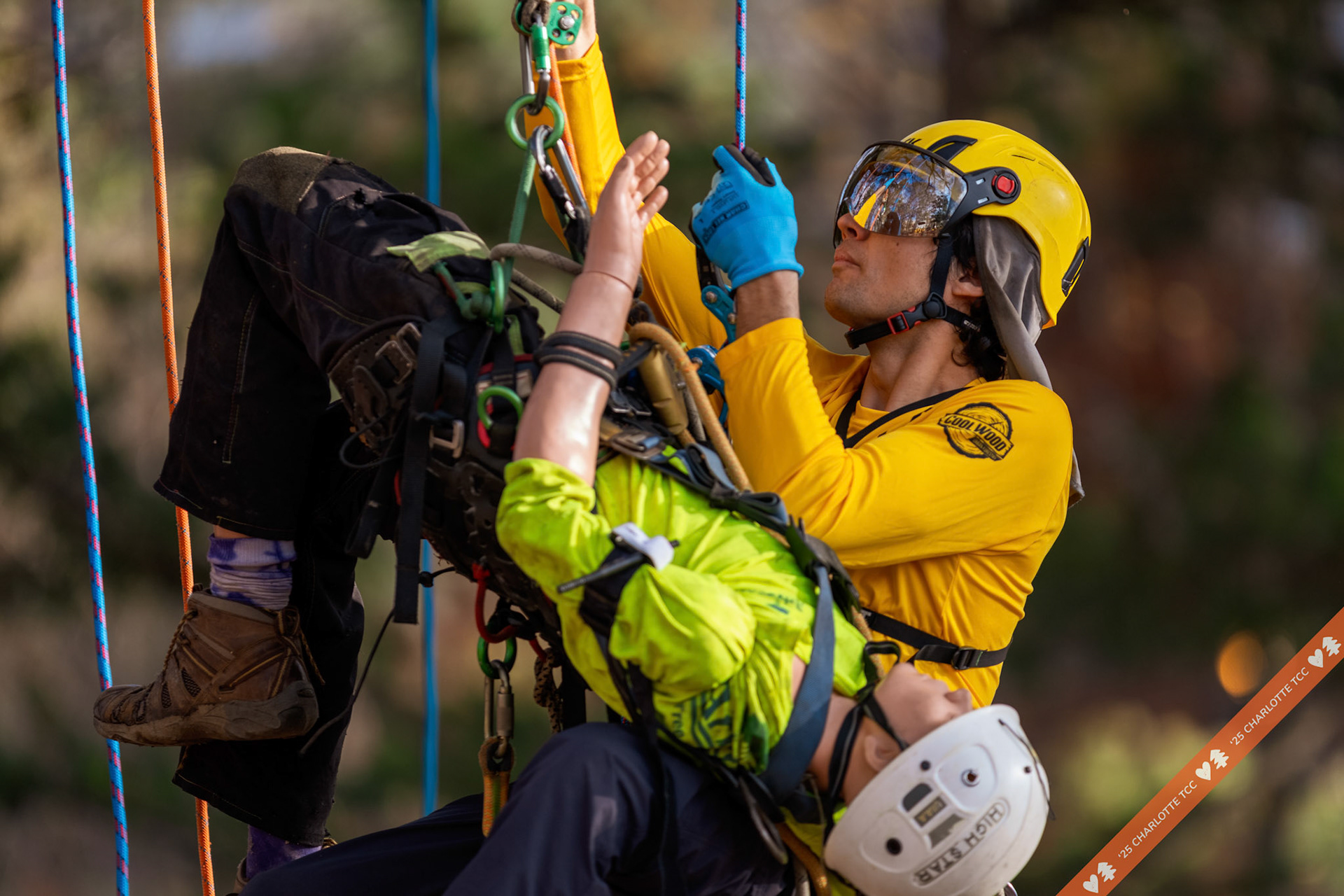 2025 Charlotte Tree Climbing Competition - TreeStuff.com/photos