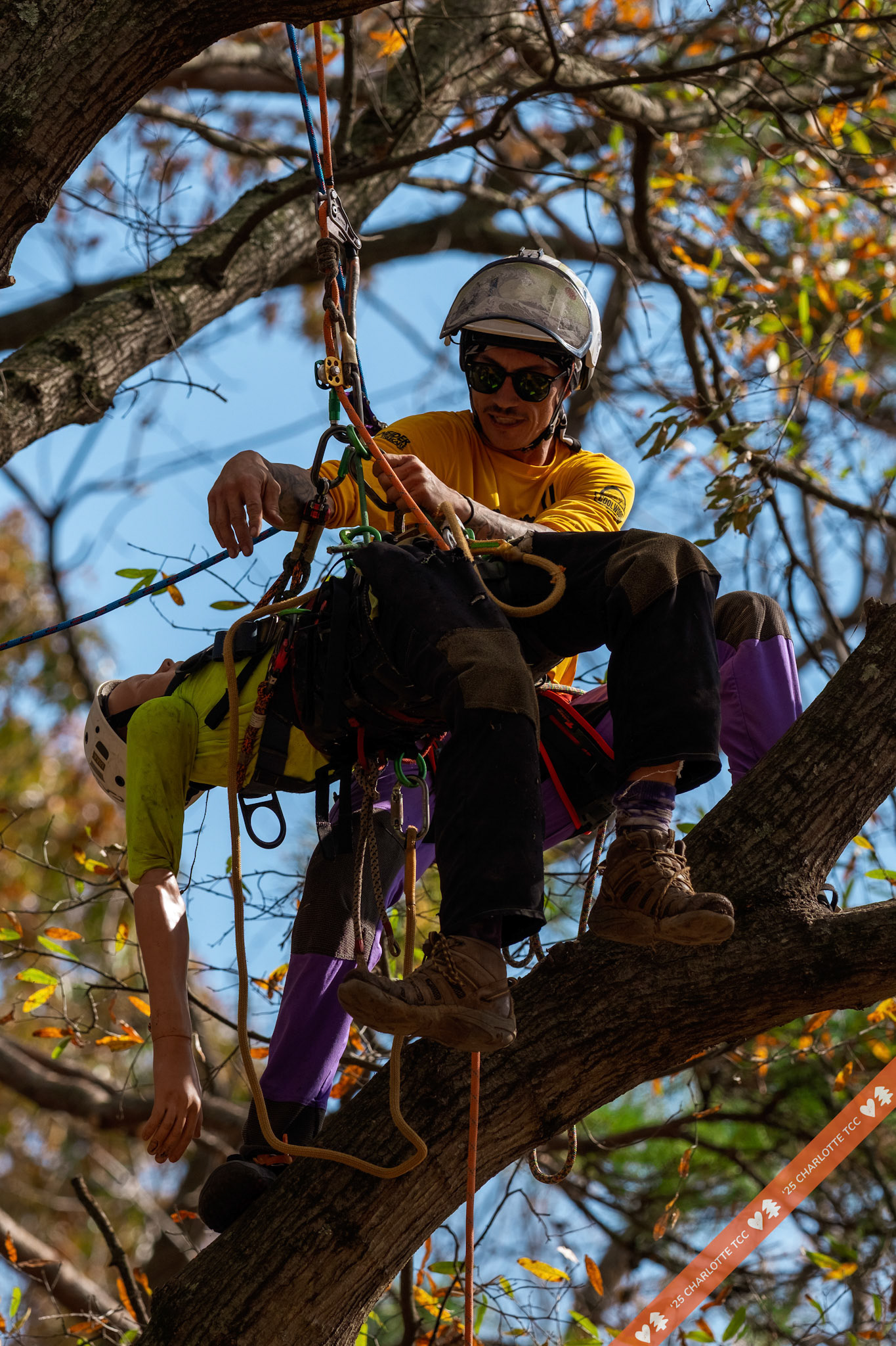 2025 Charlotte Tree Climbing Competition - TreeStuff.com/photos