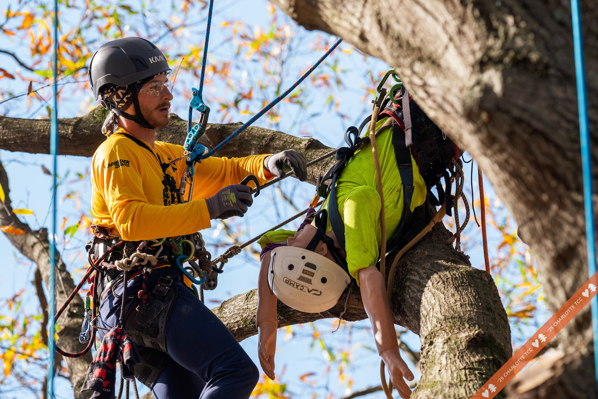 2025 Charlotte Tree Climbing Competition - TreeStuff.com/photos