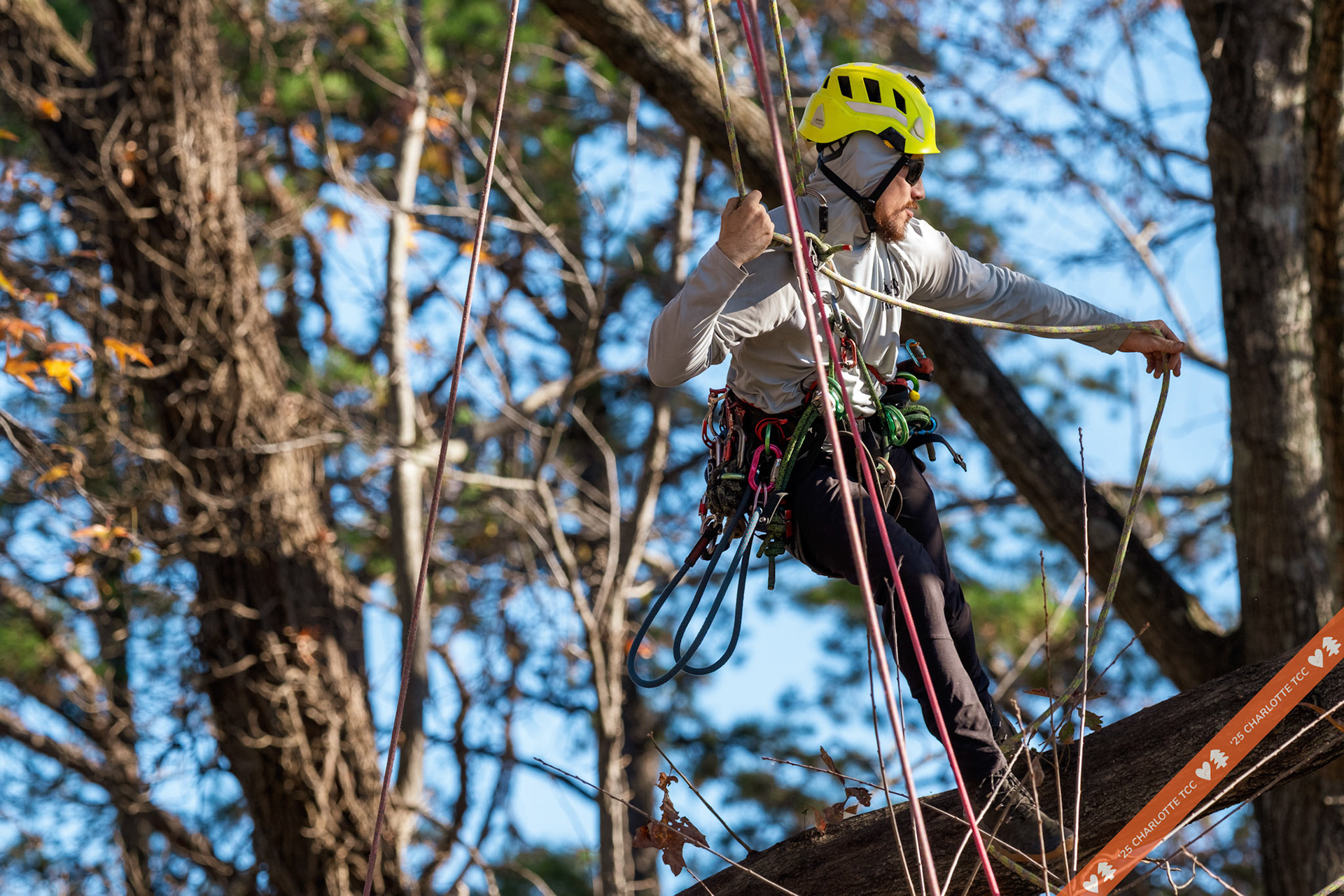 2025 Charlotte Tree Climbing Competition - TreeStuff.com/photos