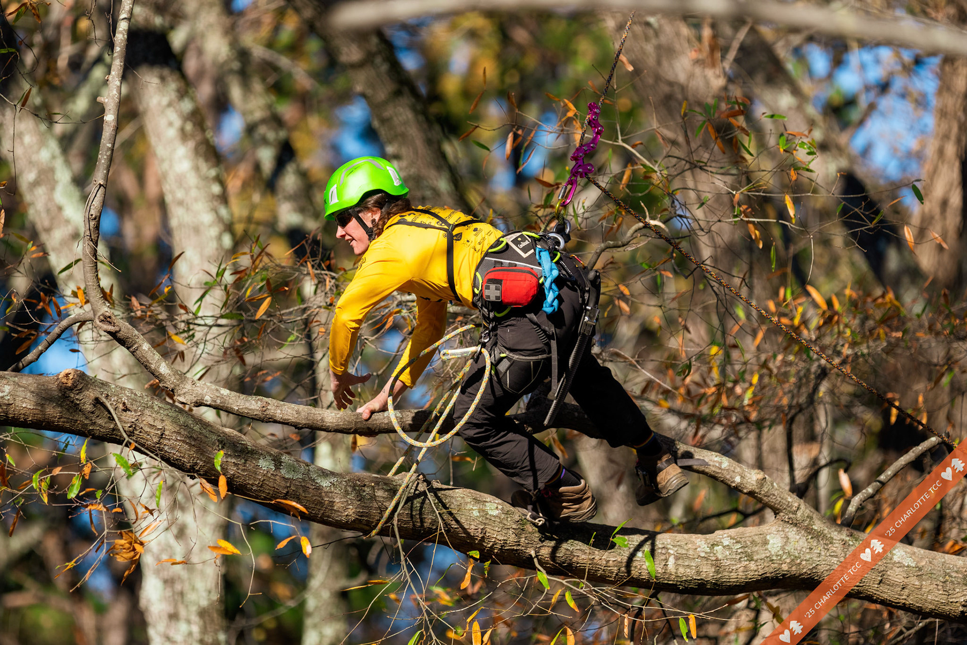 2025 Charlotte Tree Climbing Competition - TreeStuff.com/photos