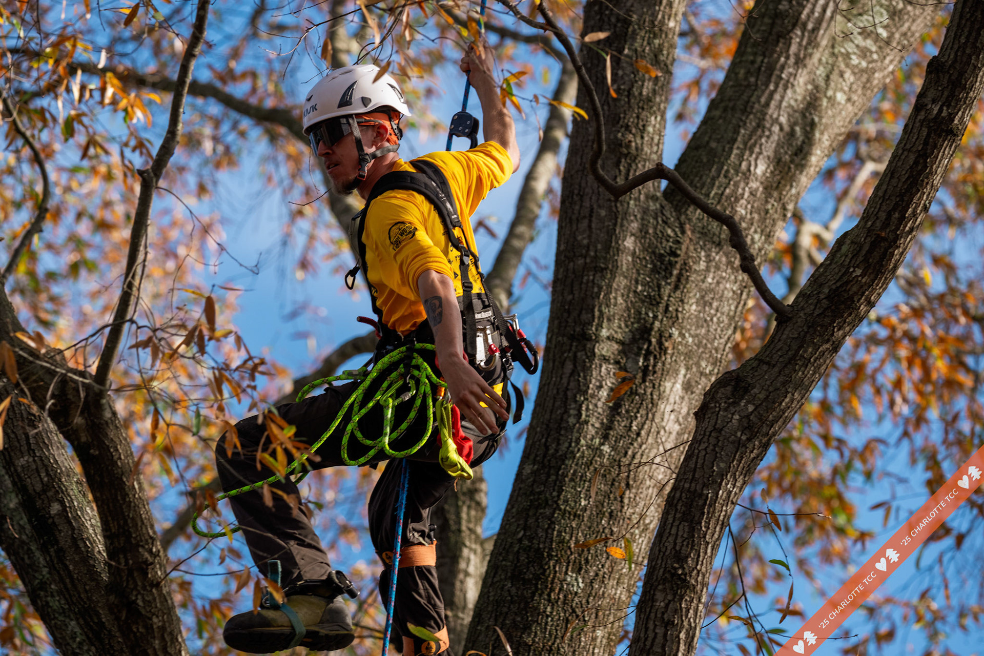 2025 Charlotte Tree Climbing Competition - TreeStuff.com/photos