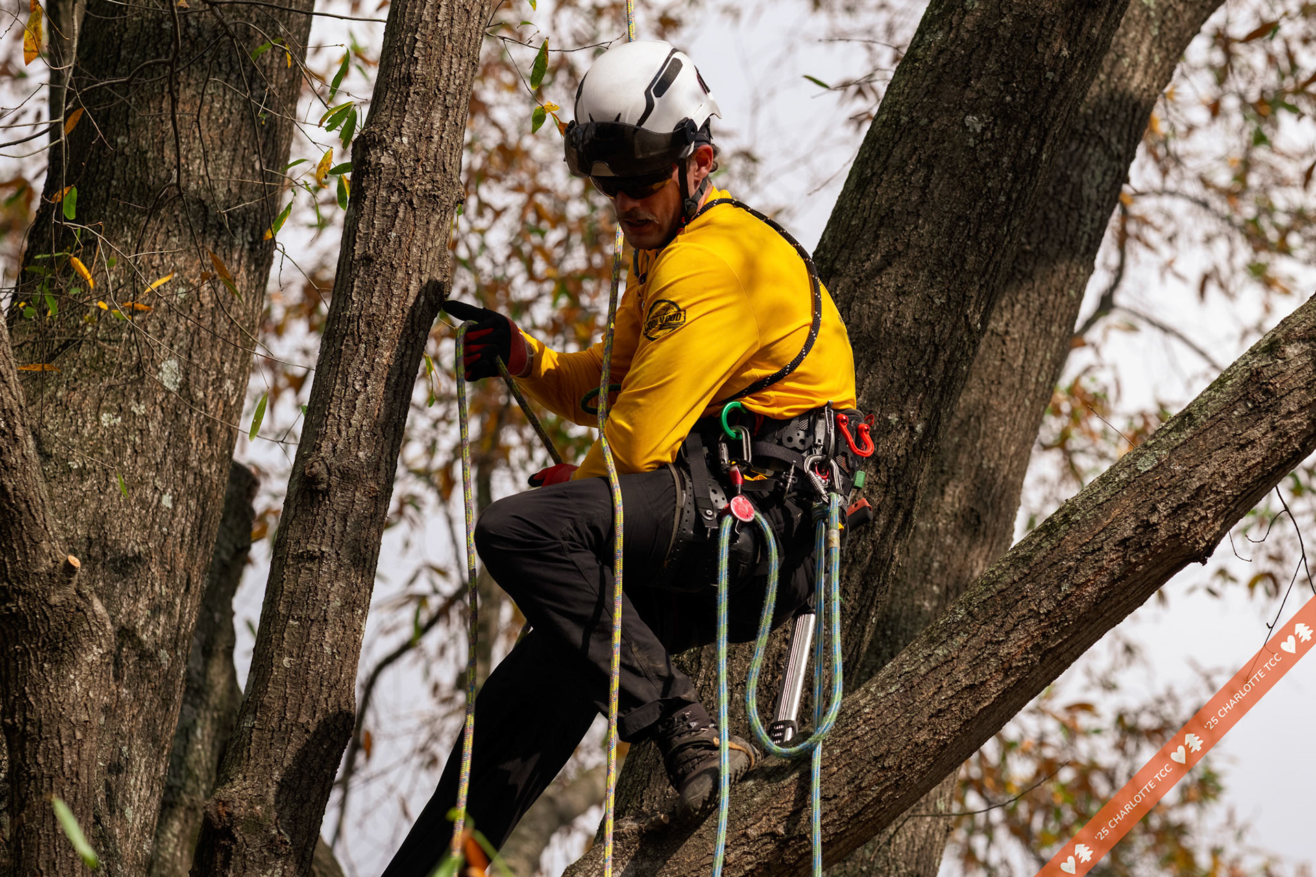 2025 Charlotte Tree Climbing Competition - TreeStuff.com/photos