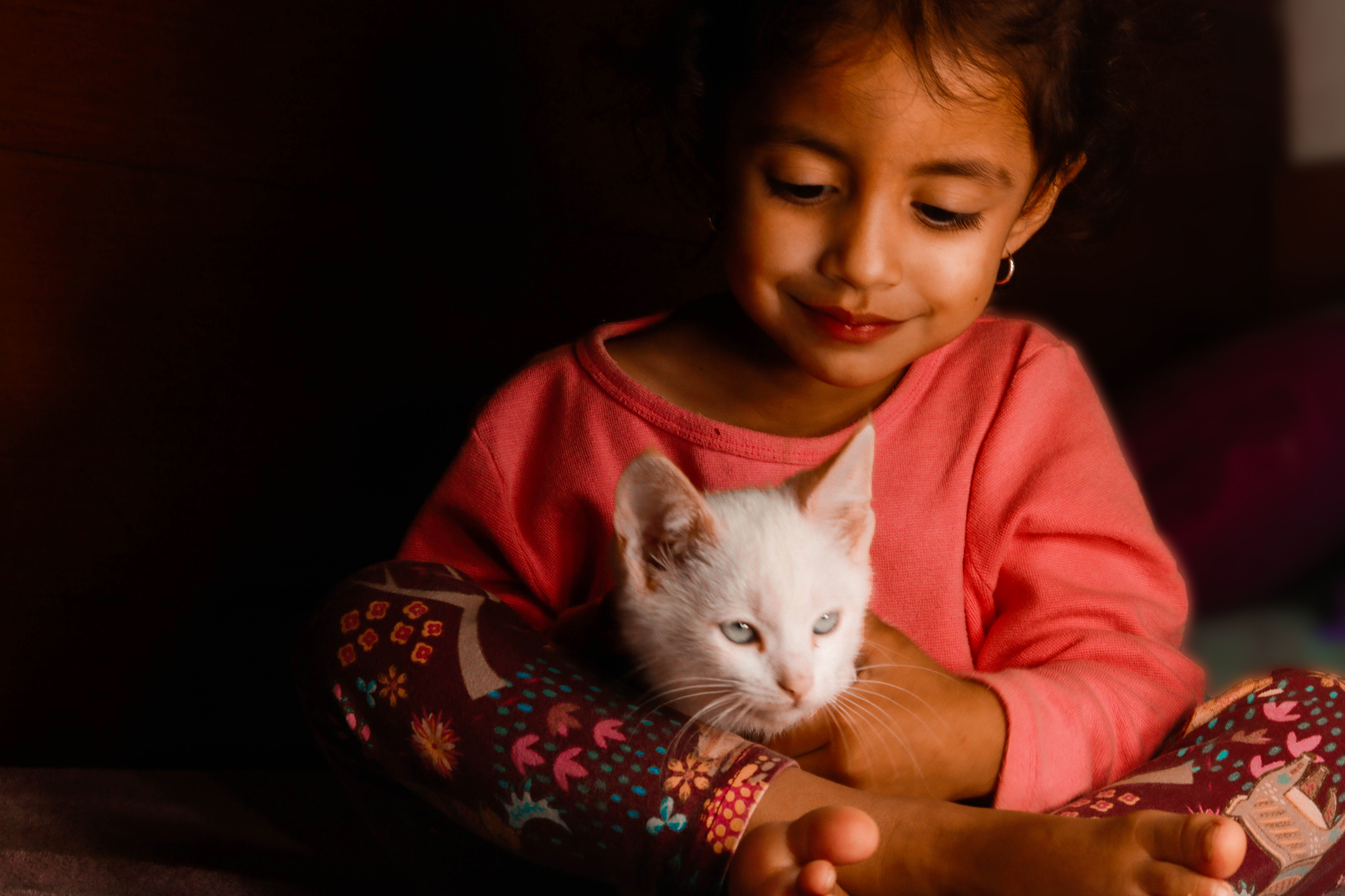 Pet