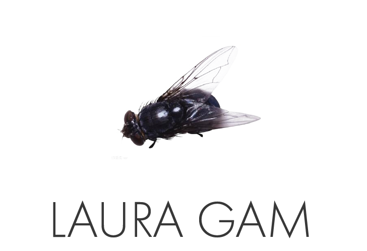 LAURA GAM