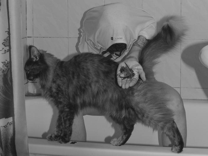 Homenaje a Roger Ballen