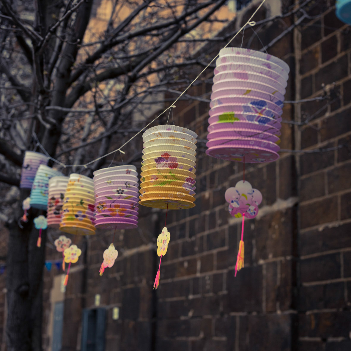 The project is a series of images documenting the atmosphere of Mid-autumn festival, an annual tradition of Vietnamese and Asian people to celebrate a bountiful harvest season.