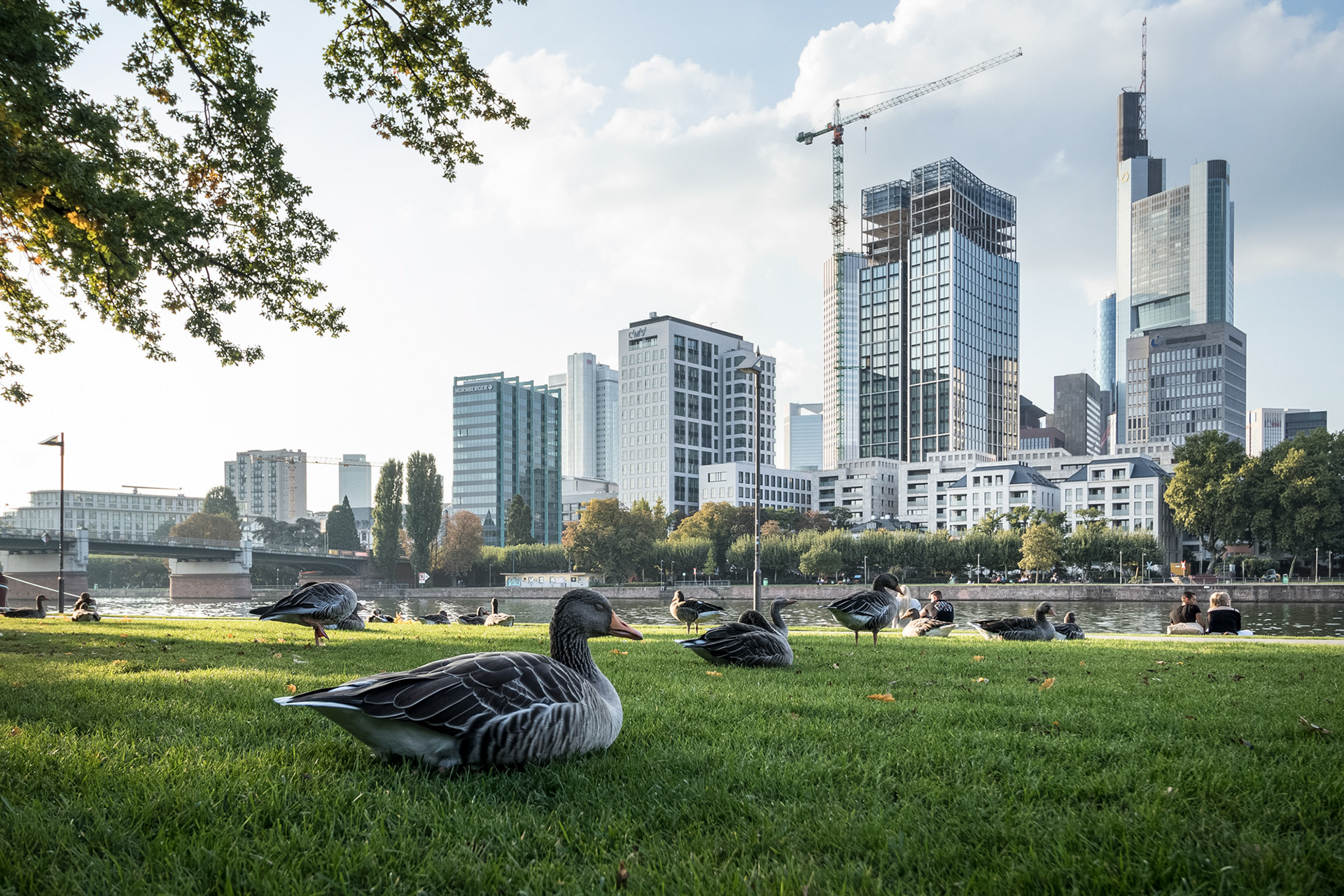 Fotodokumentation vom Bau des WINX-Towers für WINX GmbH