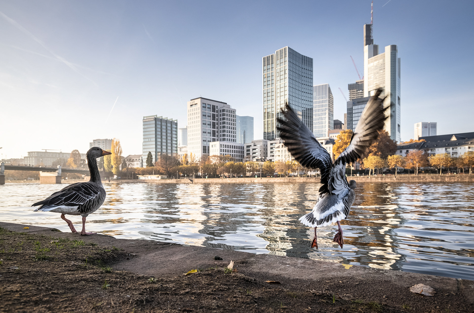 Fotodokumentation vom Bau des WINX-Towers für WINX GmbH