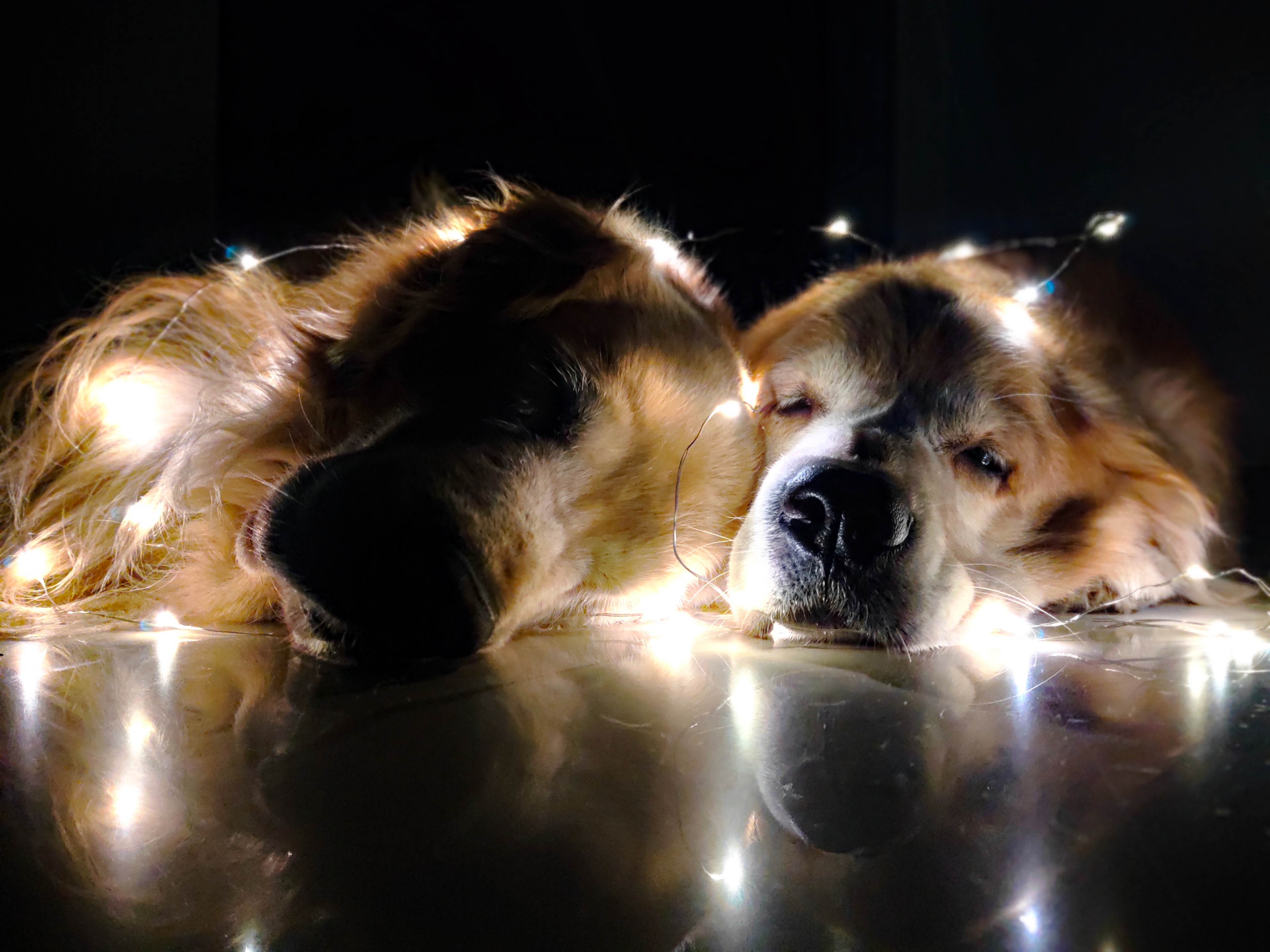 Lights out