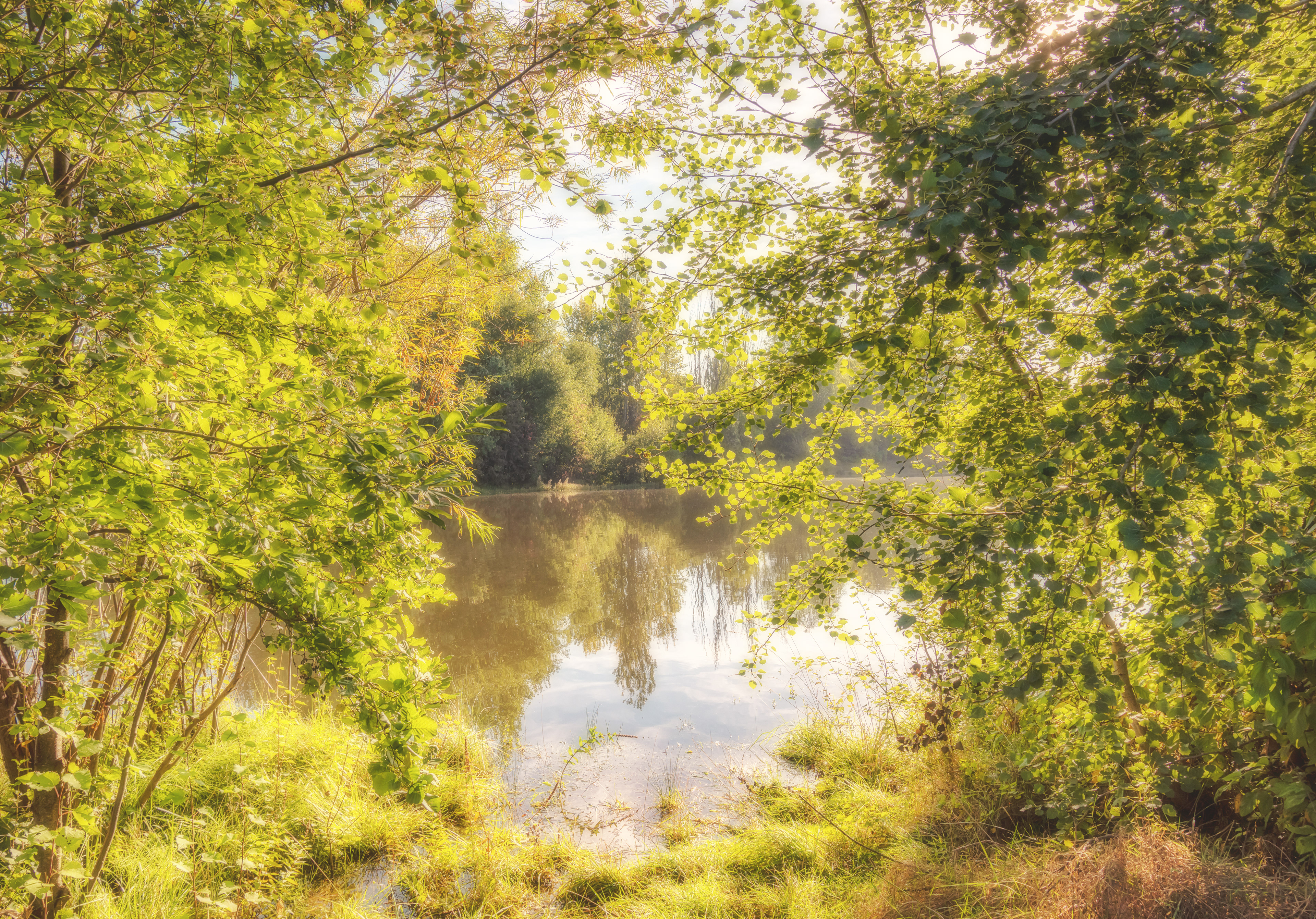 Rawcliffe Lake, York