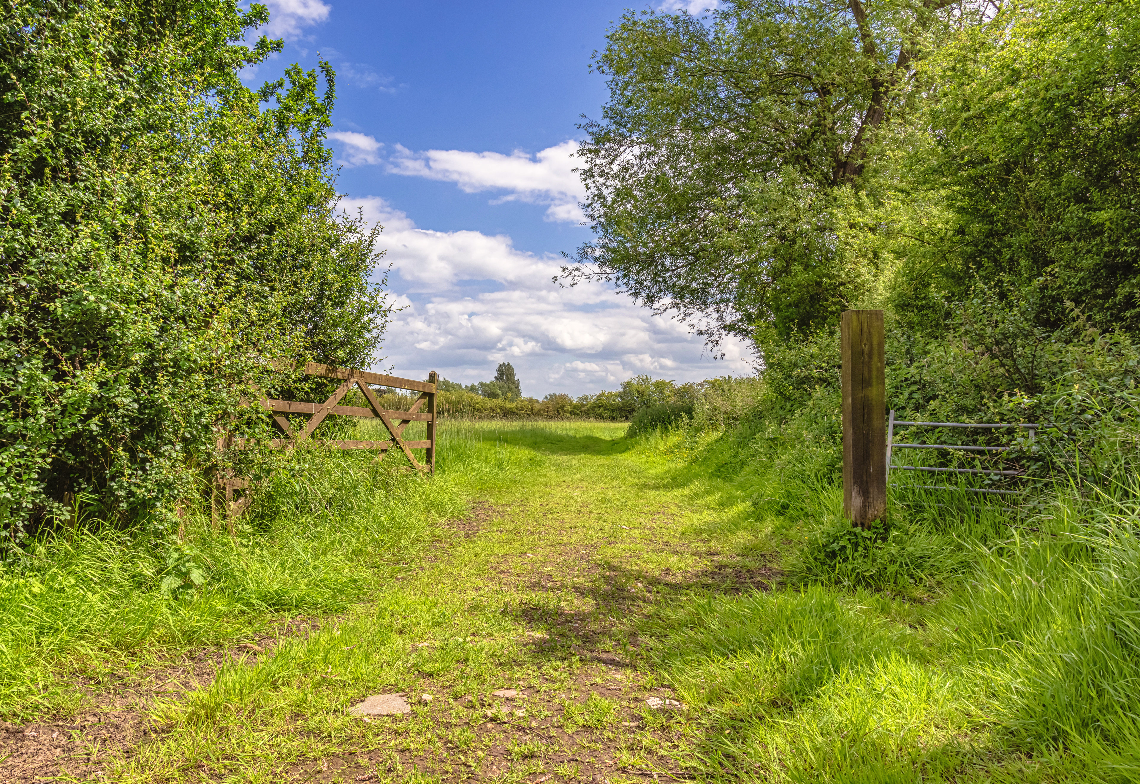 Poppleton, York