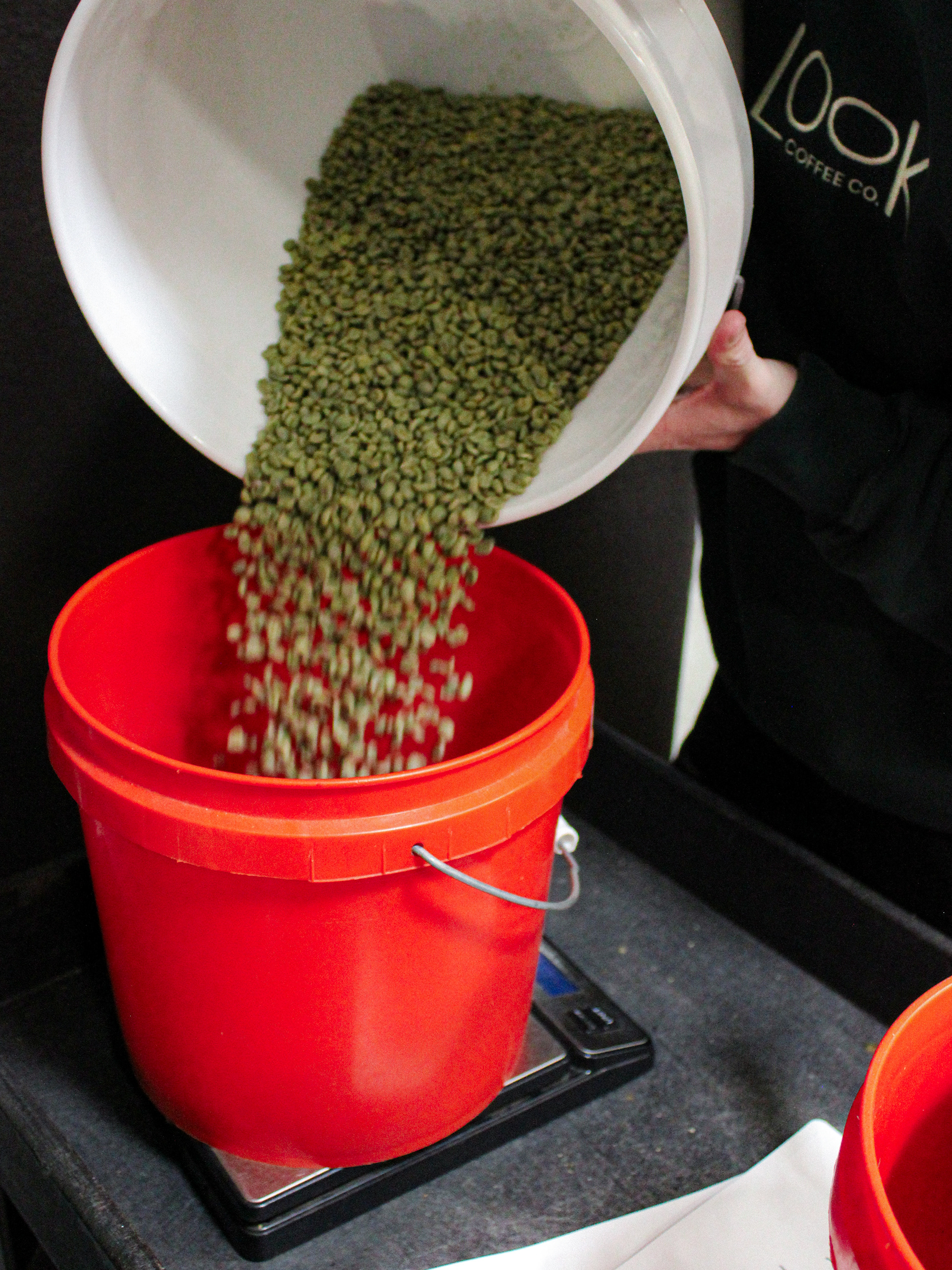 WEIGHING OUT THE GREEN COFFEE