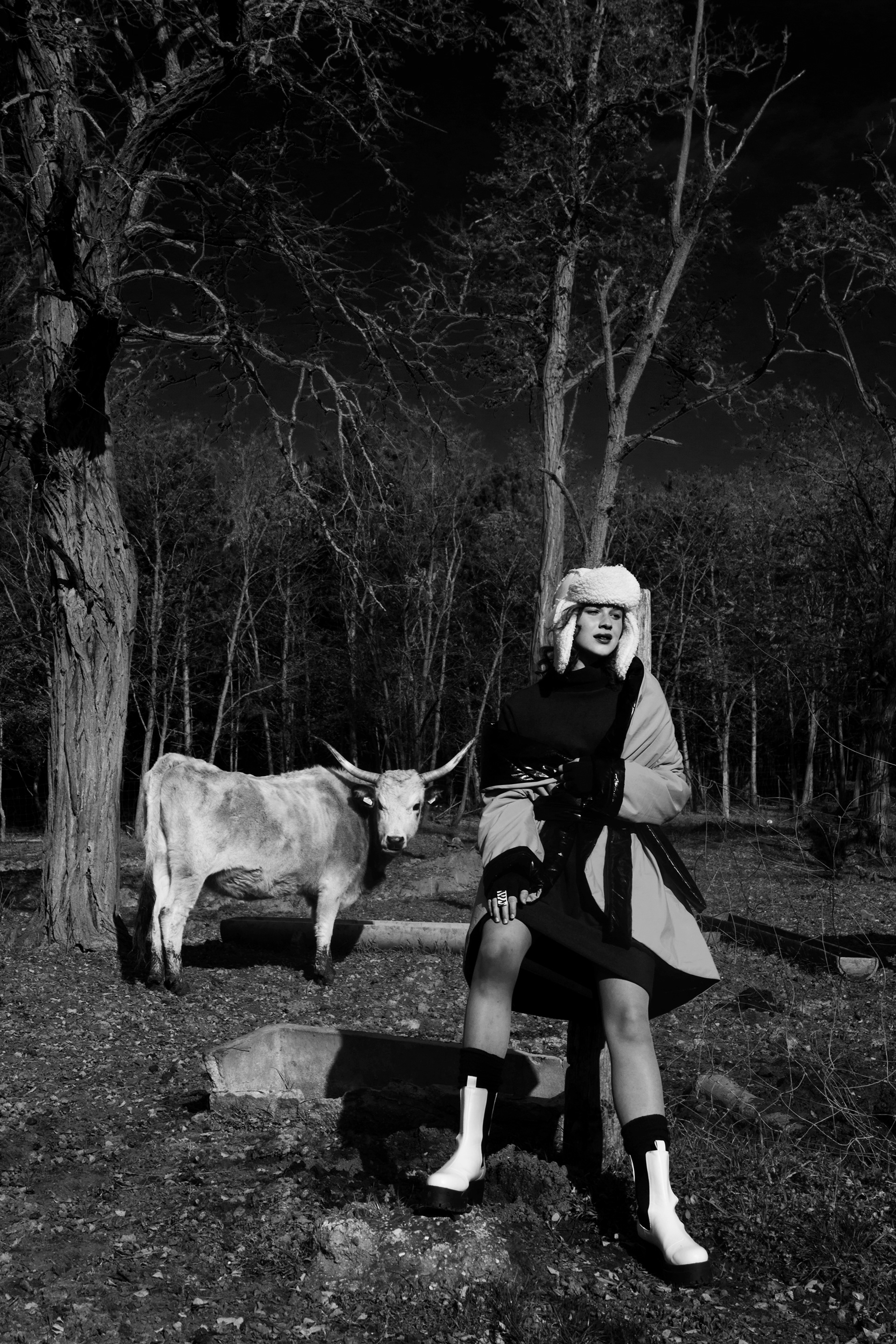 Zolyomi Laura Grey Cattle