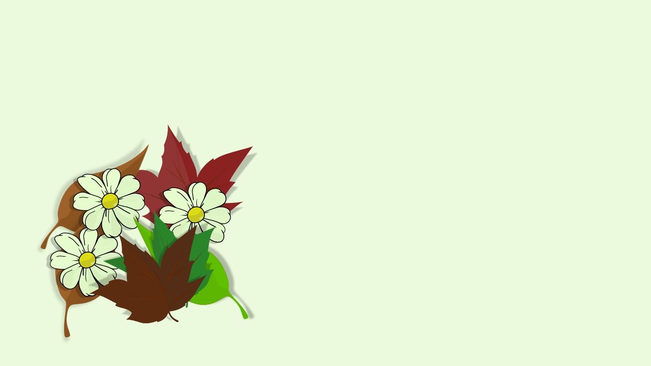 Conjunto compuesto por margaritas y hojas secas en un ángulo de la ilustración. Espacio para texto, logo o diseño