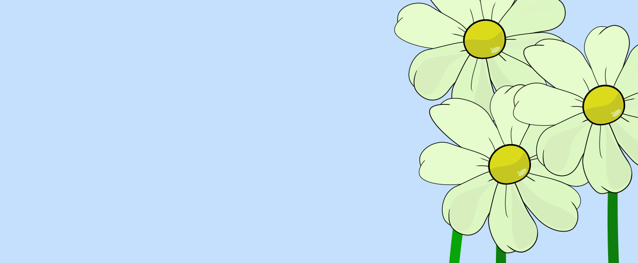 Elegante banner de fondo azul cielo con un pequeño grupo de La Margarita Más Hermosa de Internet en un lateral. Espacio para texto, logo o diseño