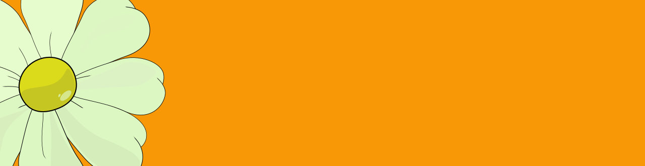 Banner naranja con La Margarita Más Hermosa de Internet en un lateral. Espacio para texto, logo o diseño
