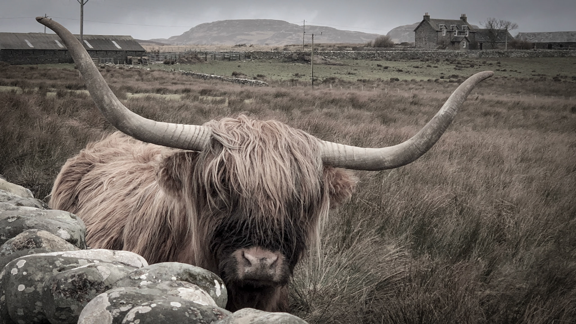 {"colorSpace":"kCGColorSpaceDisplayP3","cameraType":"Dual","macroEnabled":false,"qualityMode":3,"deviceTilt":0.0074538602493703365,"customExposureMode":0,"extendedExposure":false,"whiteBalanceProgram":0,"cameraPosition":1,"focusMode":0}