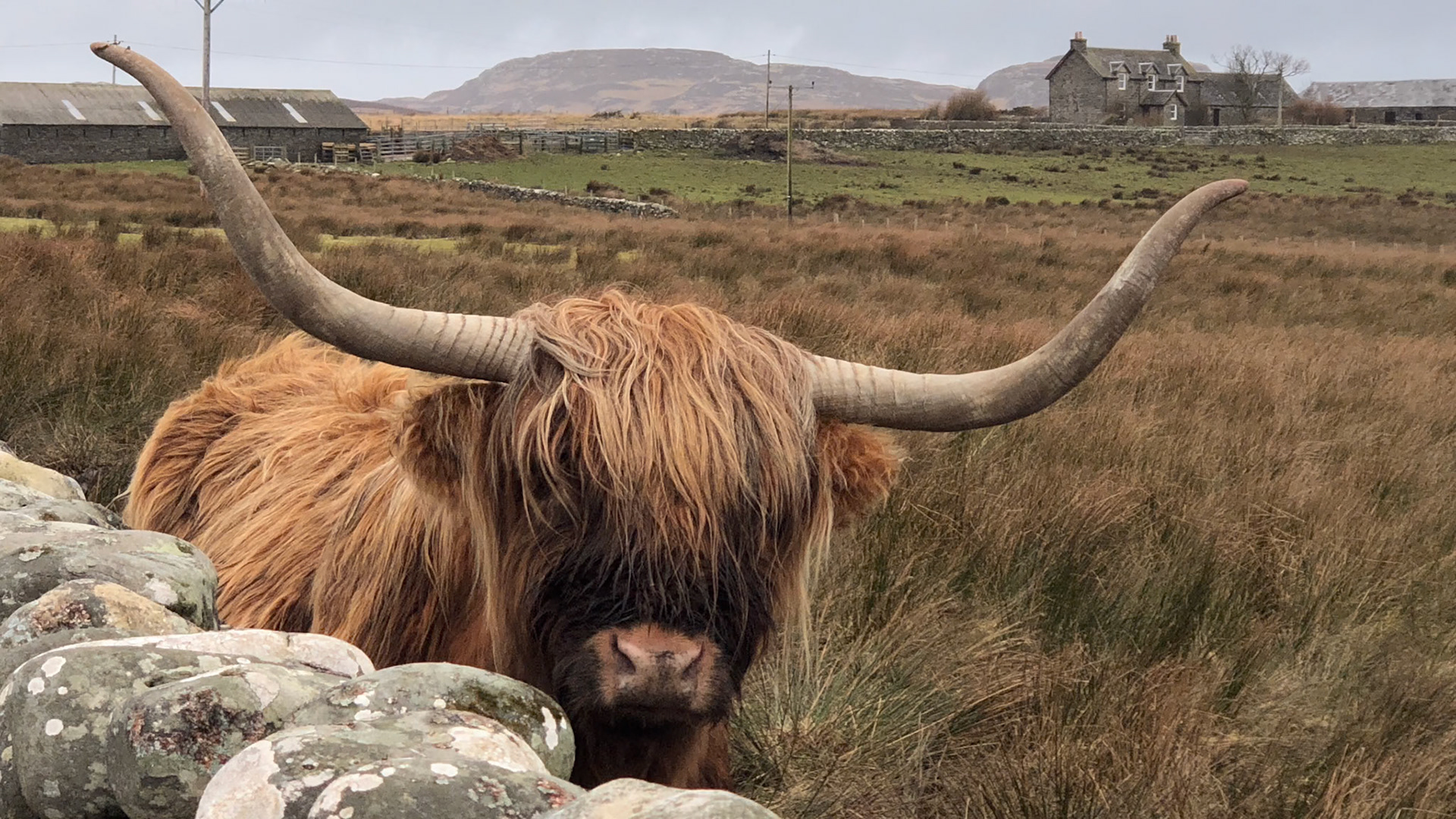 {"colorSpace":"kCGColorSpaceDisplayP3","cameraType":"Dual","macroEnabled":false,"qualityMode":3,"deviceTilt":0.0074538602493703365,"customExposureMode":0,"extendedExposure":false,"whiteBalanceProgram":0,"cameraPosition":1,"focusMode":0}