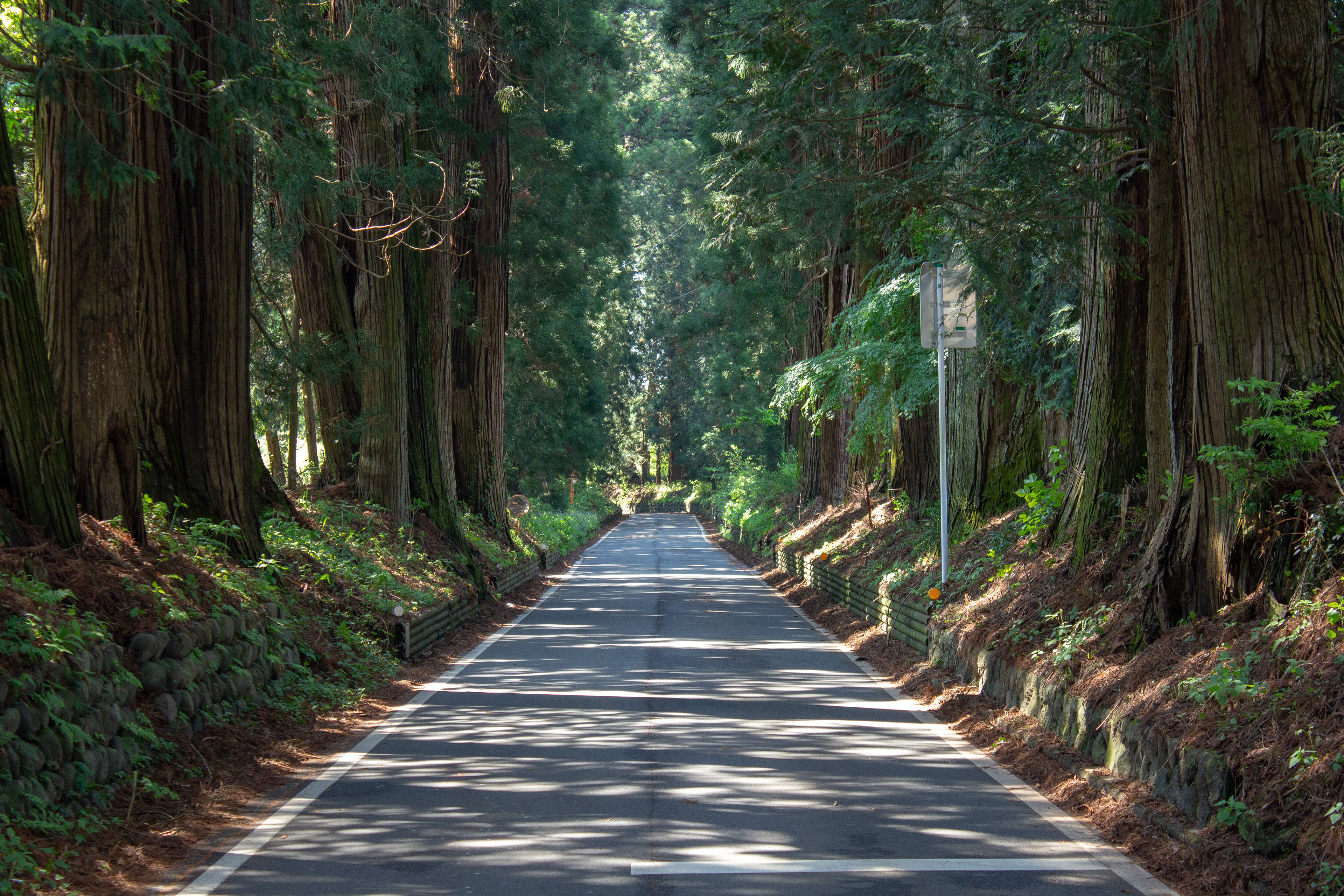 Quiet Road in Nikko