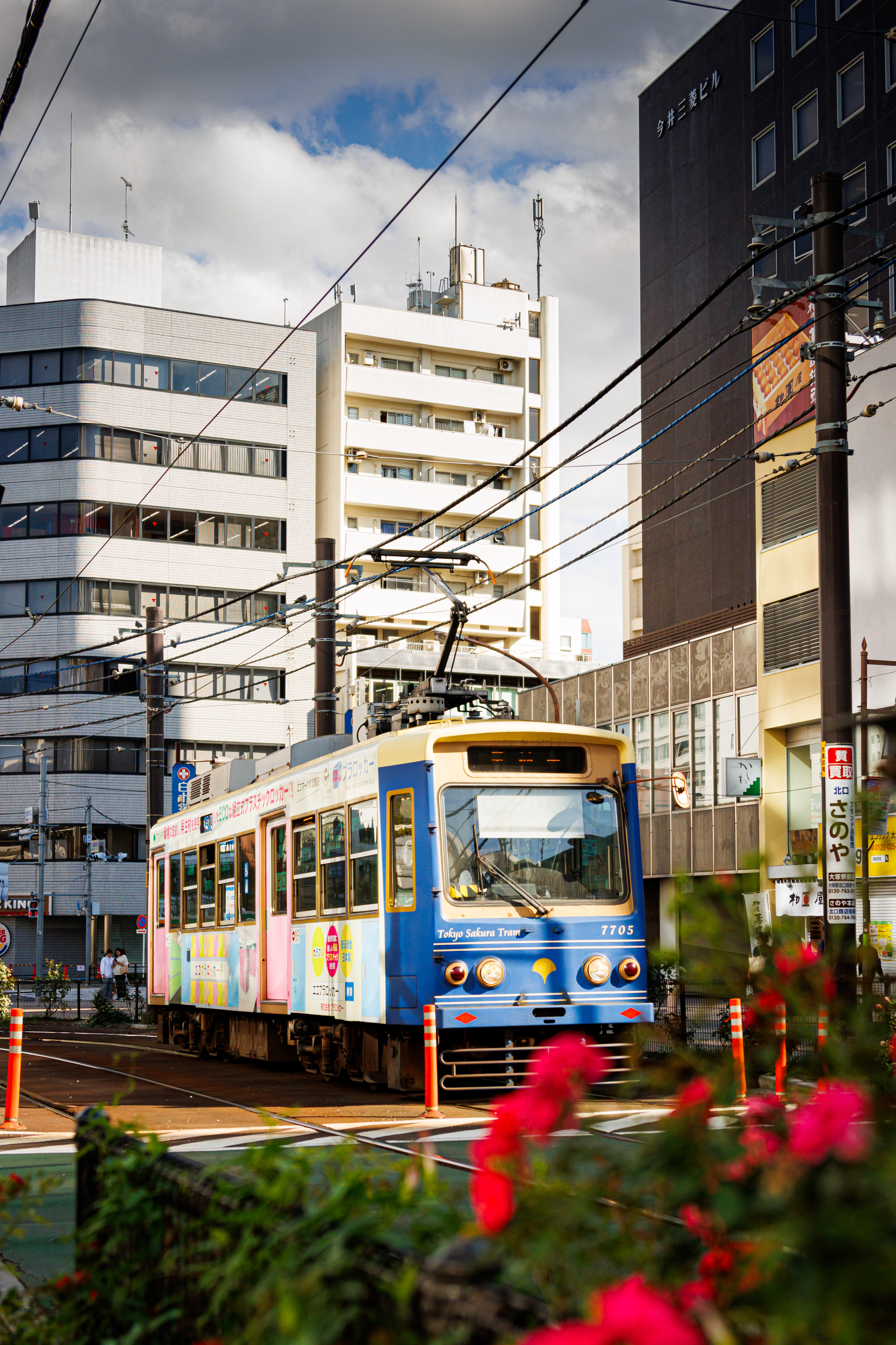 Tokyo Sakura Tram
