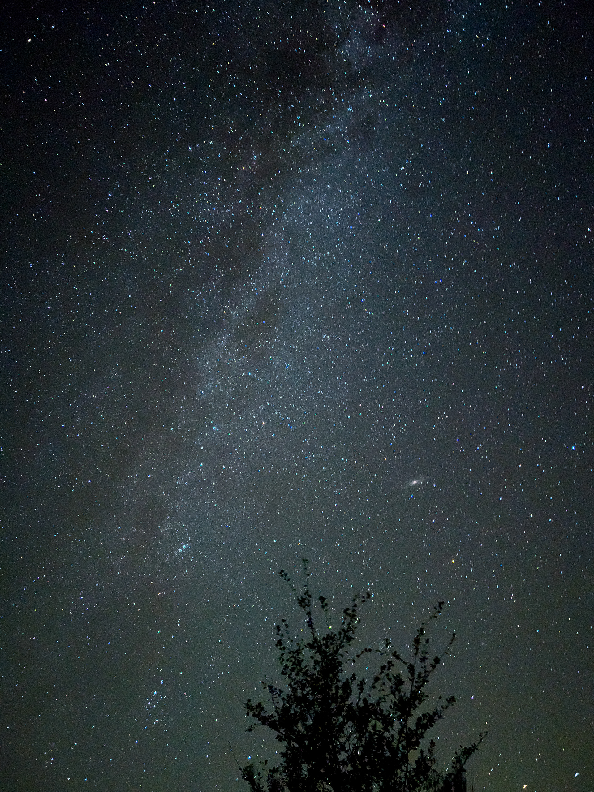 Milky Way - Northeast From Caycuse