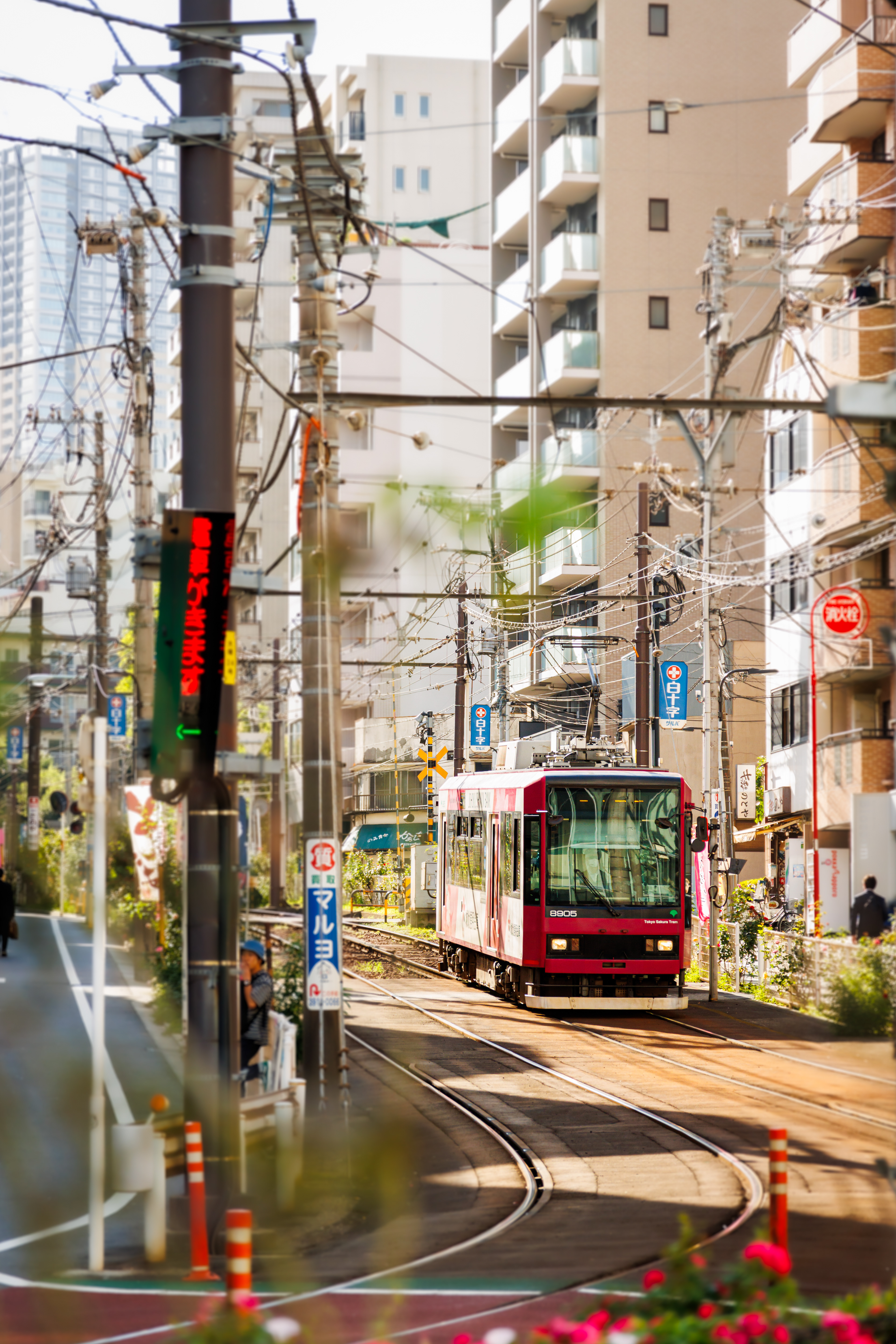 Tokyo Sakura Tram