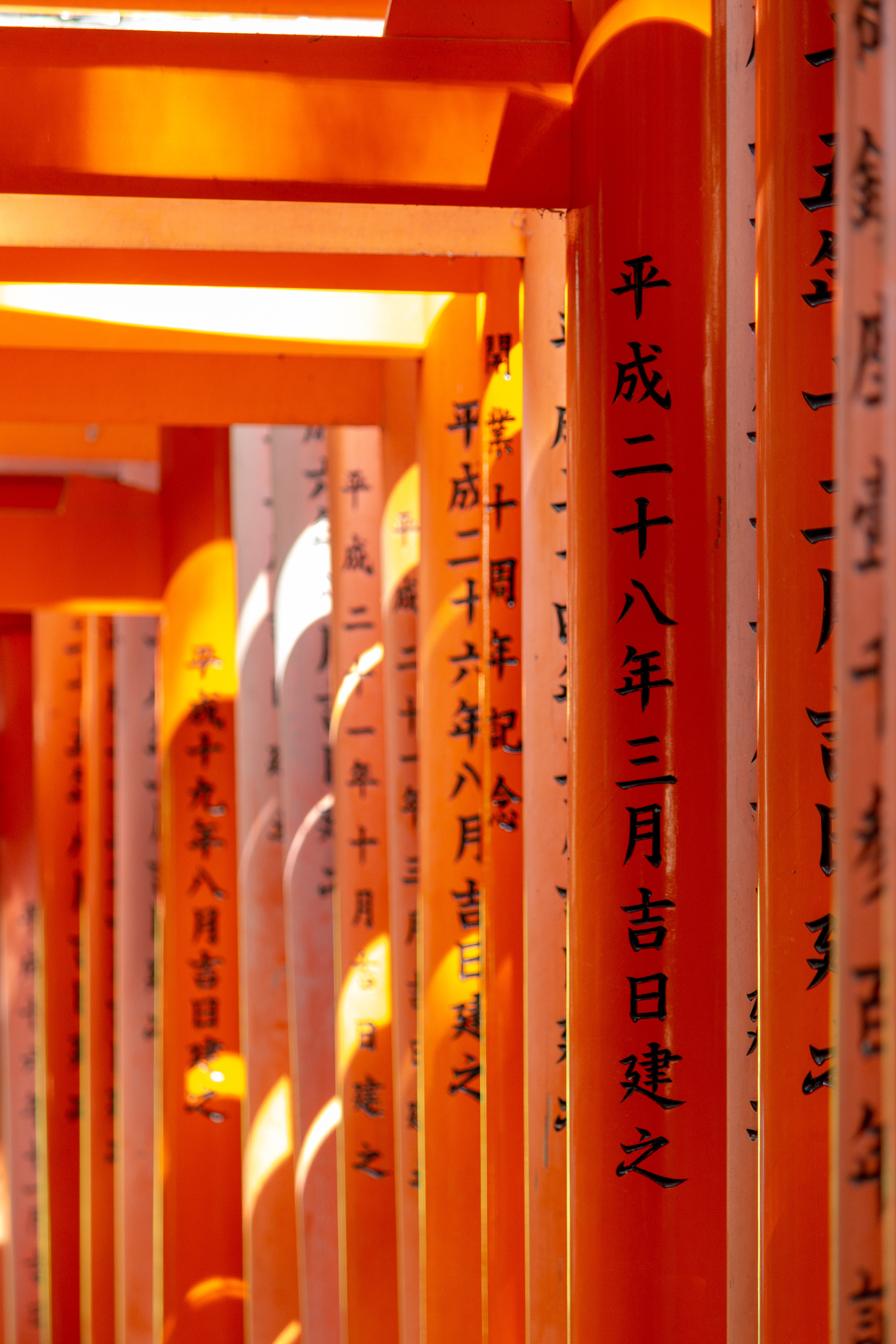 Torii Corridor