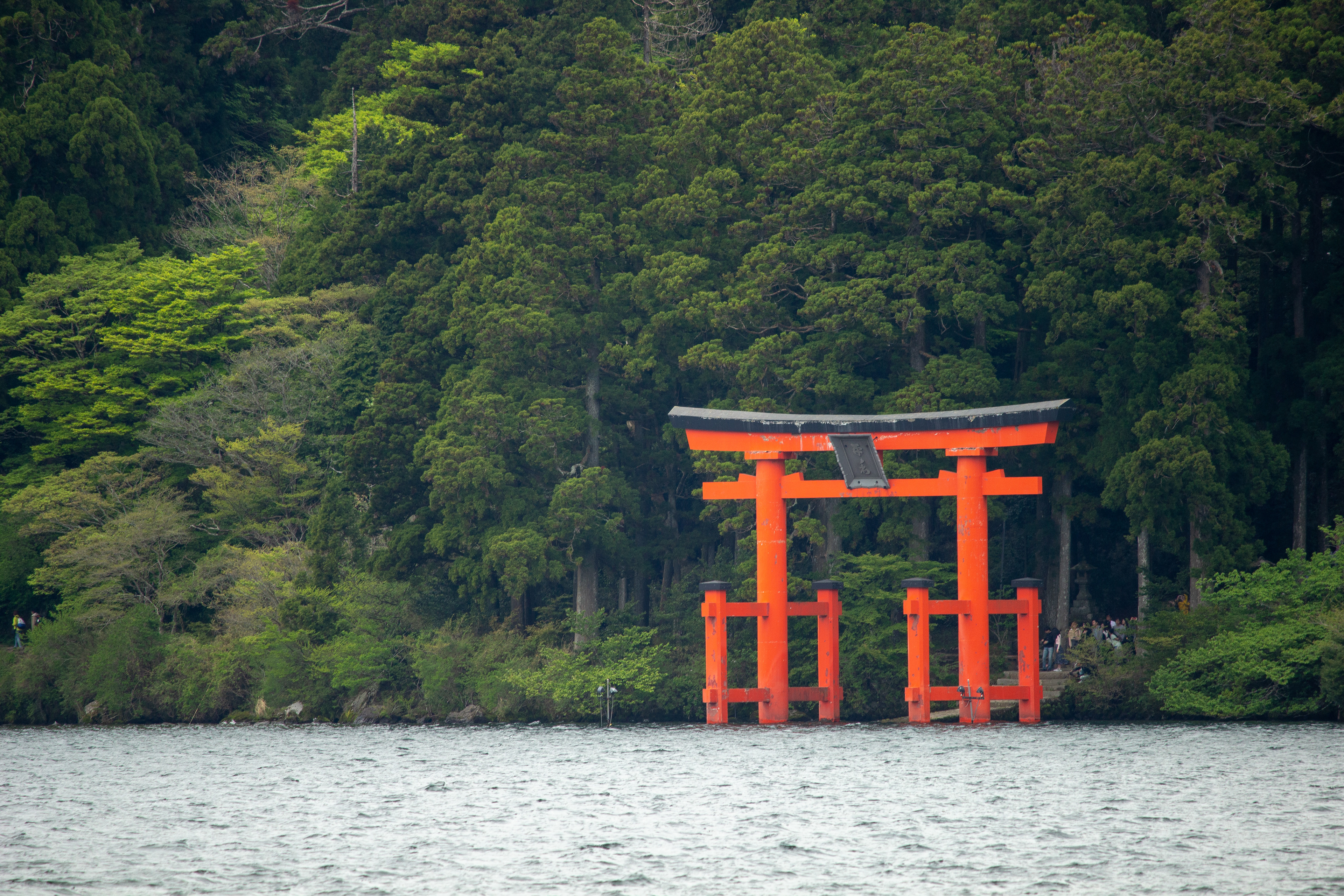 Hakone Torri Gate