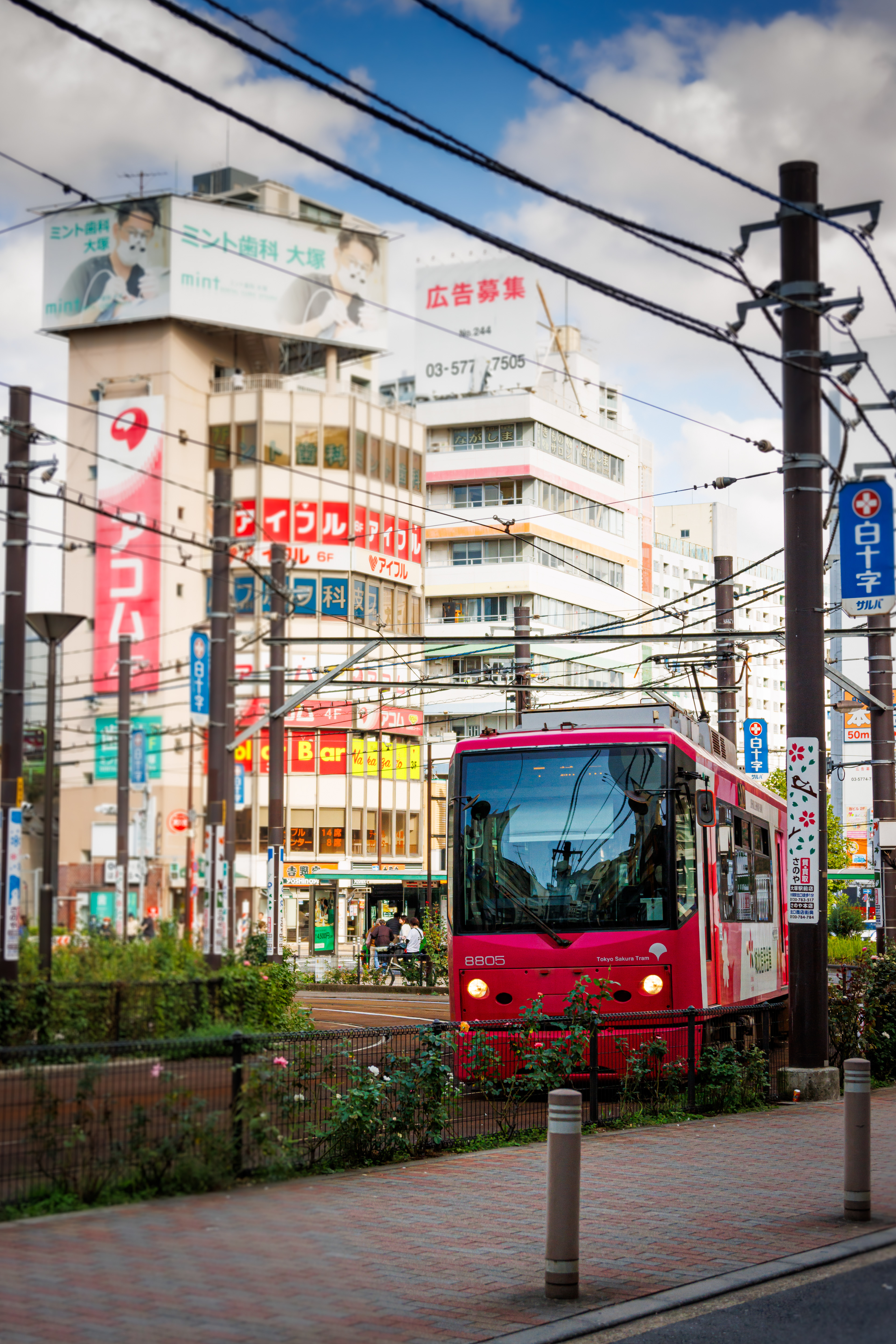 Tokyo Sakura Tram