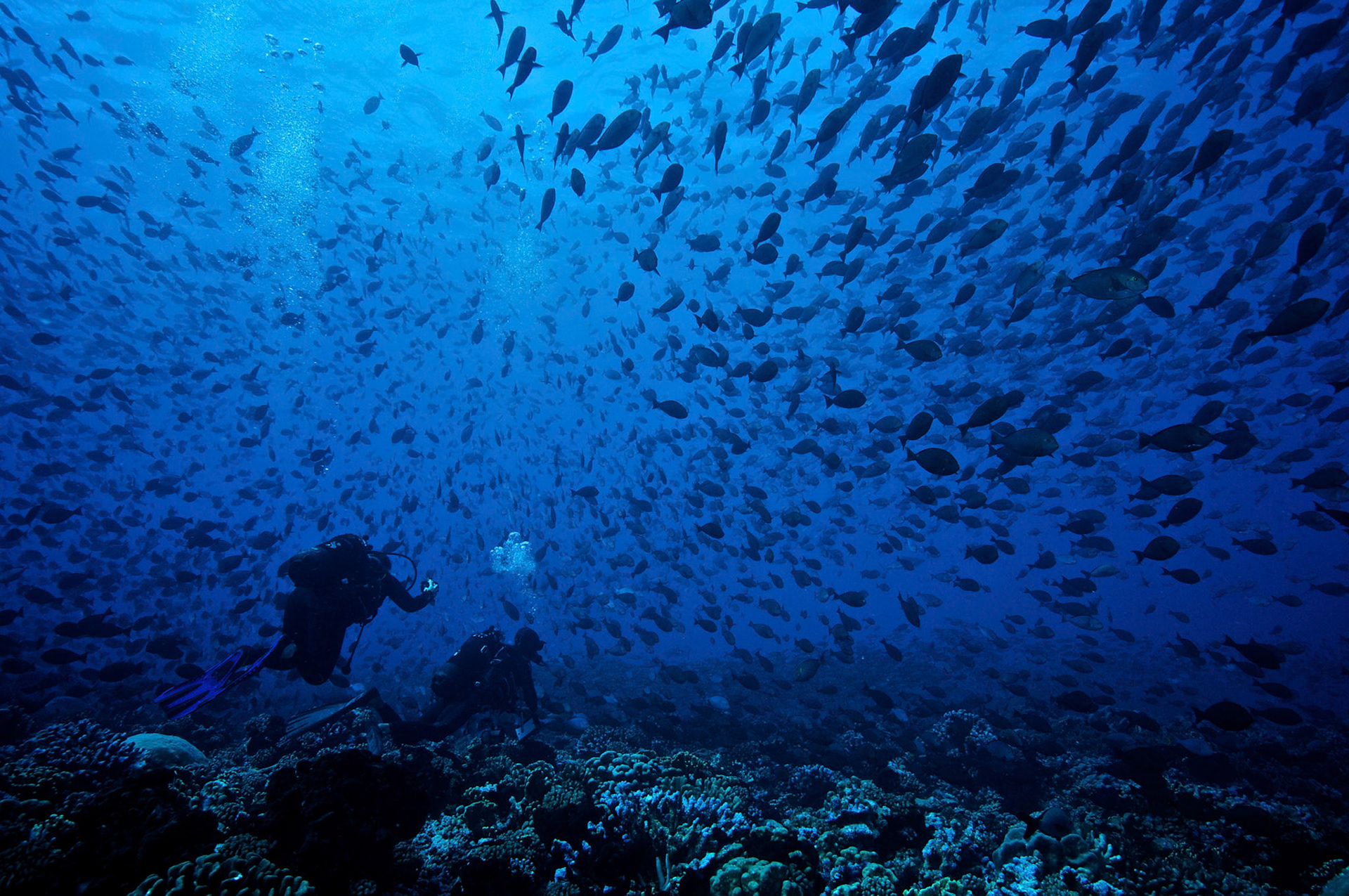 Fakarava, French Polynesia